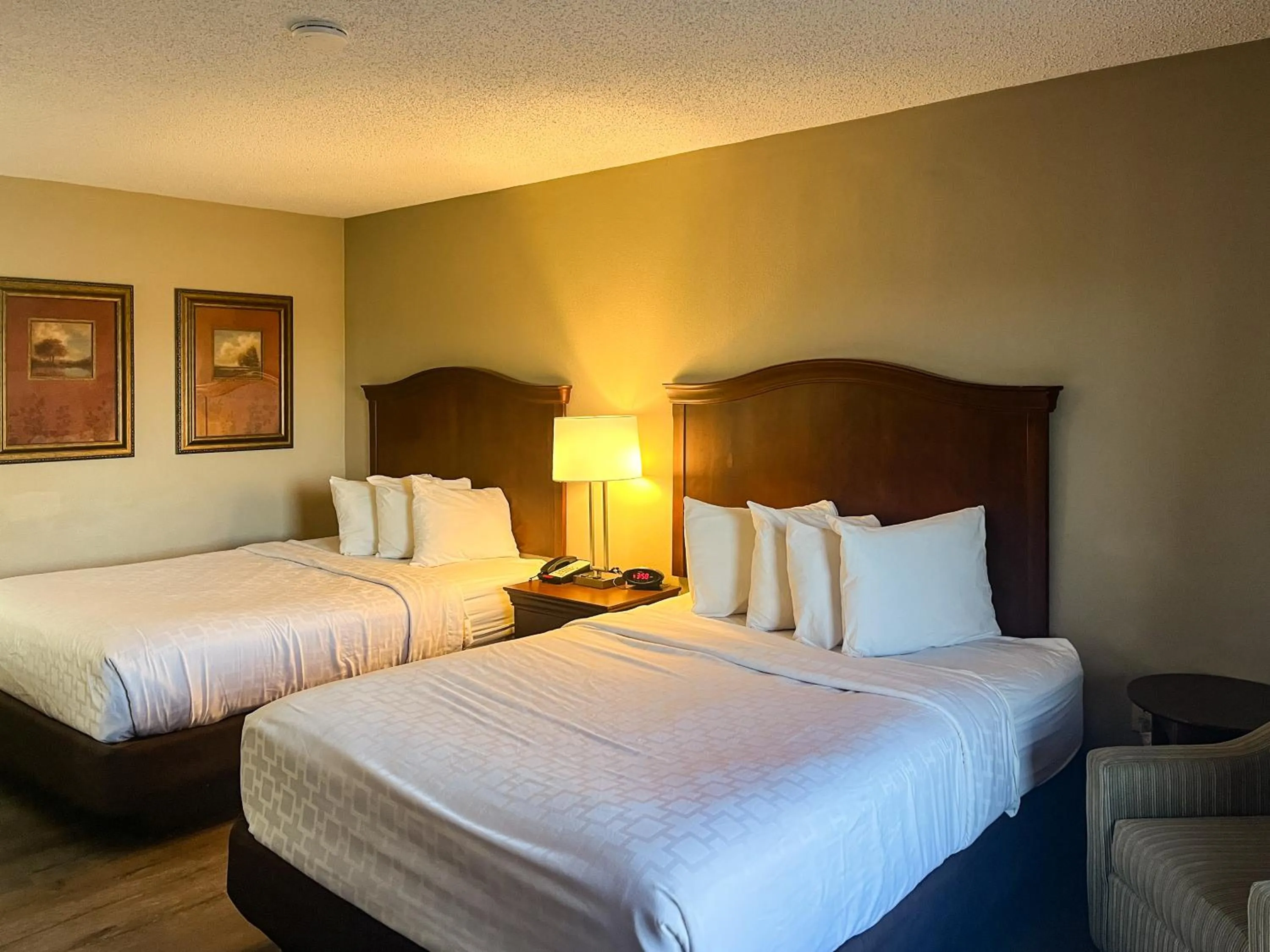 Photo of the whole room, Bed in Motel 6 Stafford VA Quantico