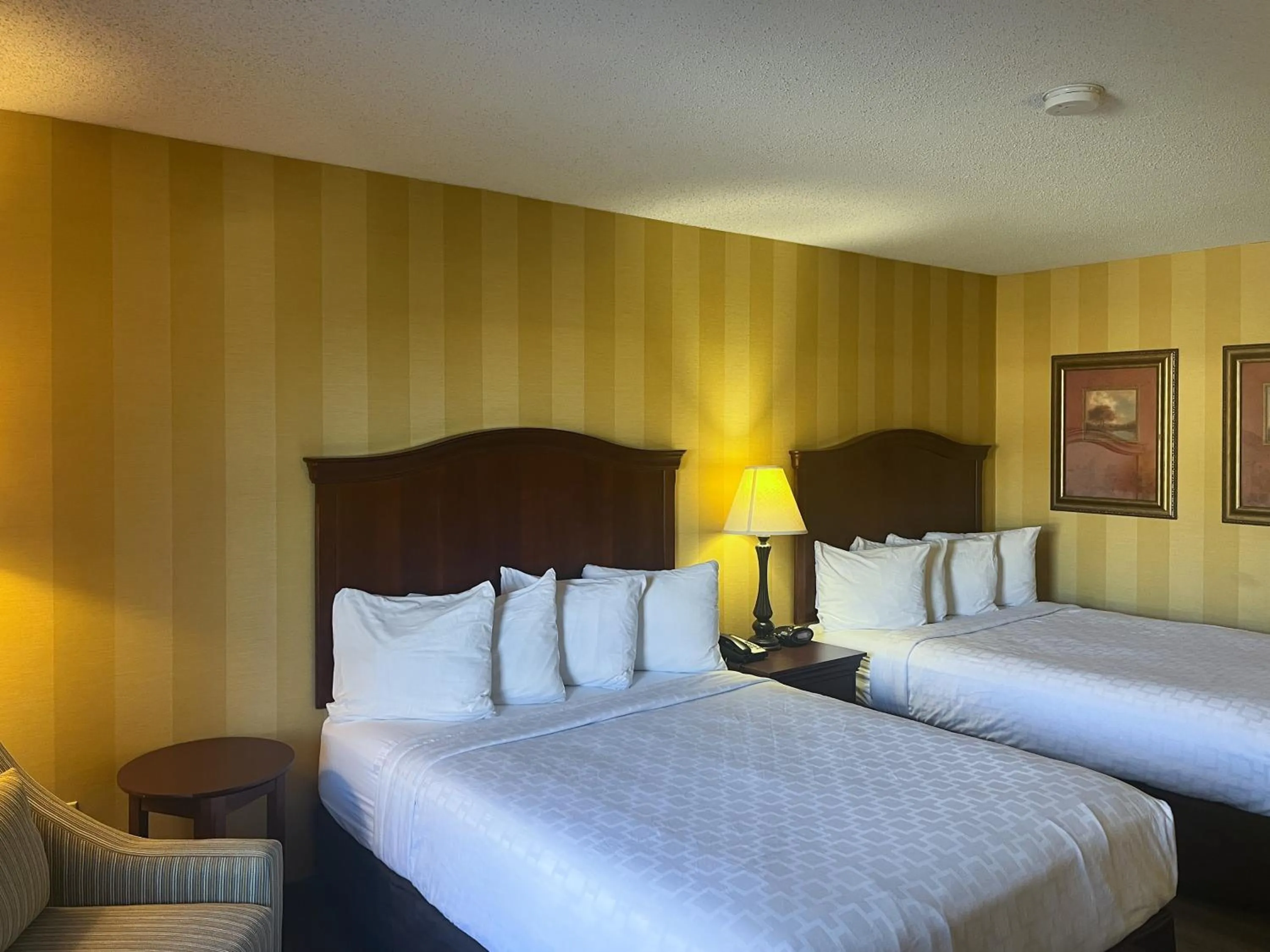 Photo of the whole room, Bed in Motel 6 Stafford VA Quantico