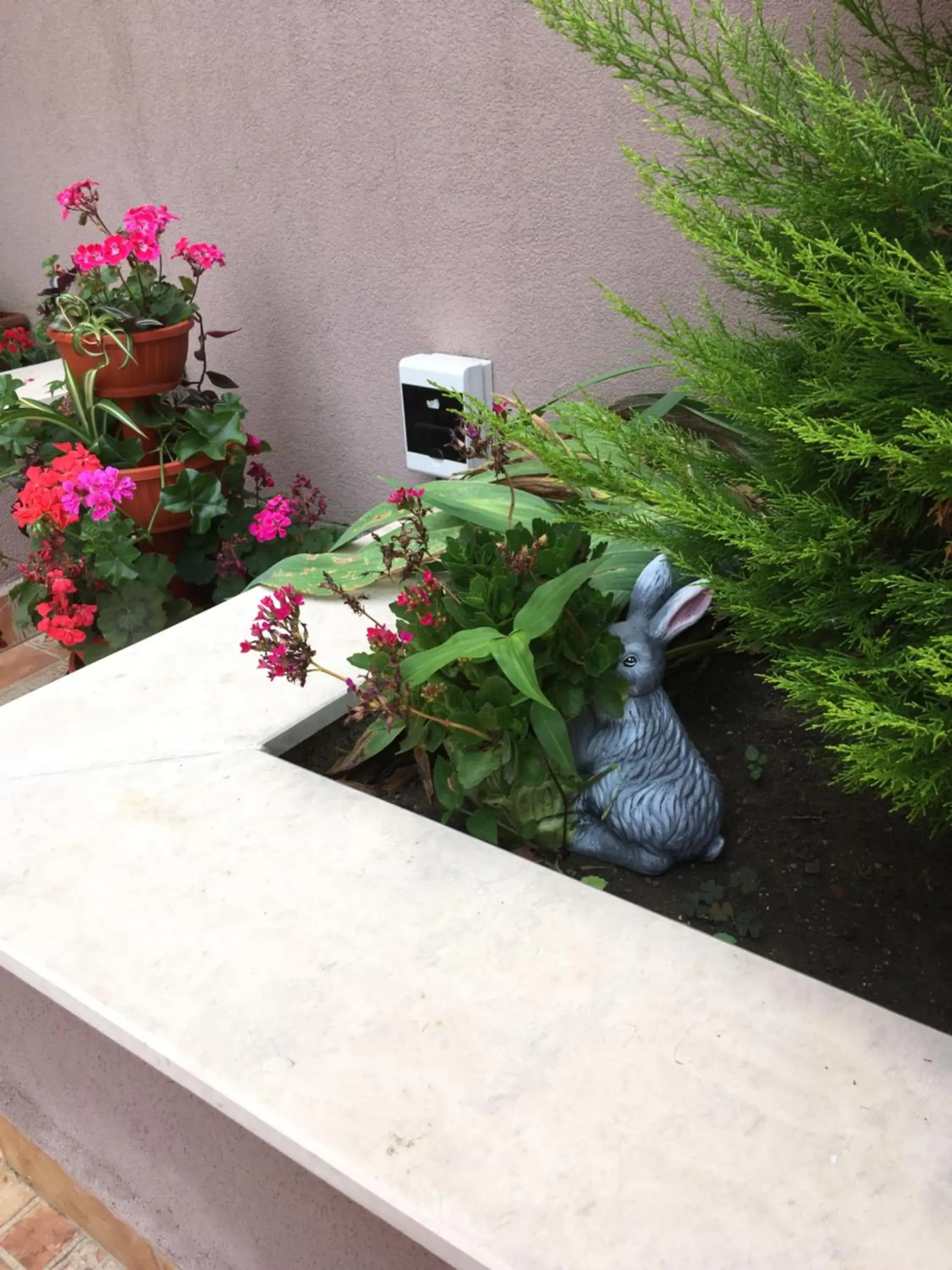 Apartment with Terrace in Vase Apartments Apartment with Terrace in Vase Apartments