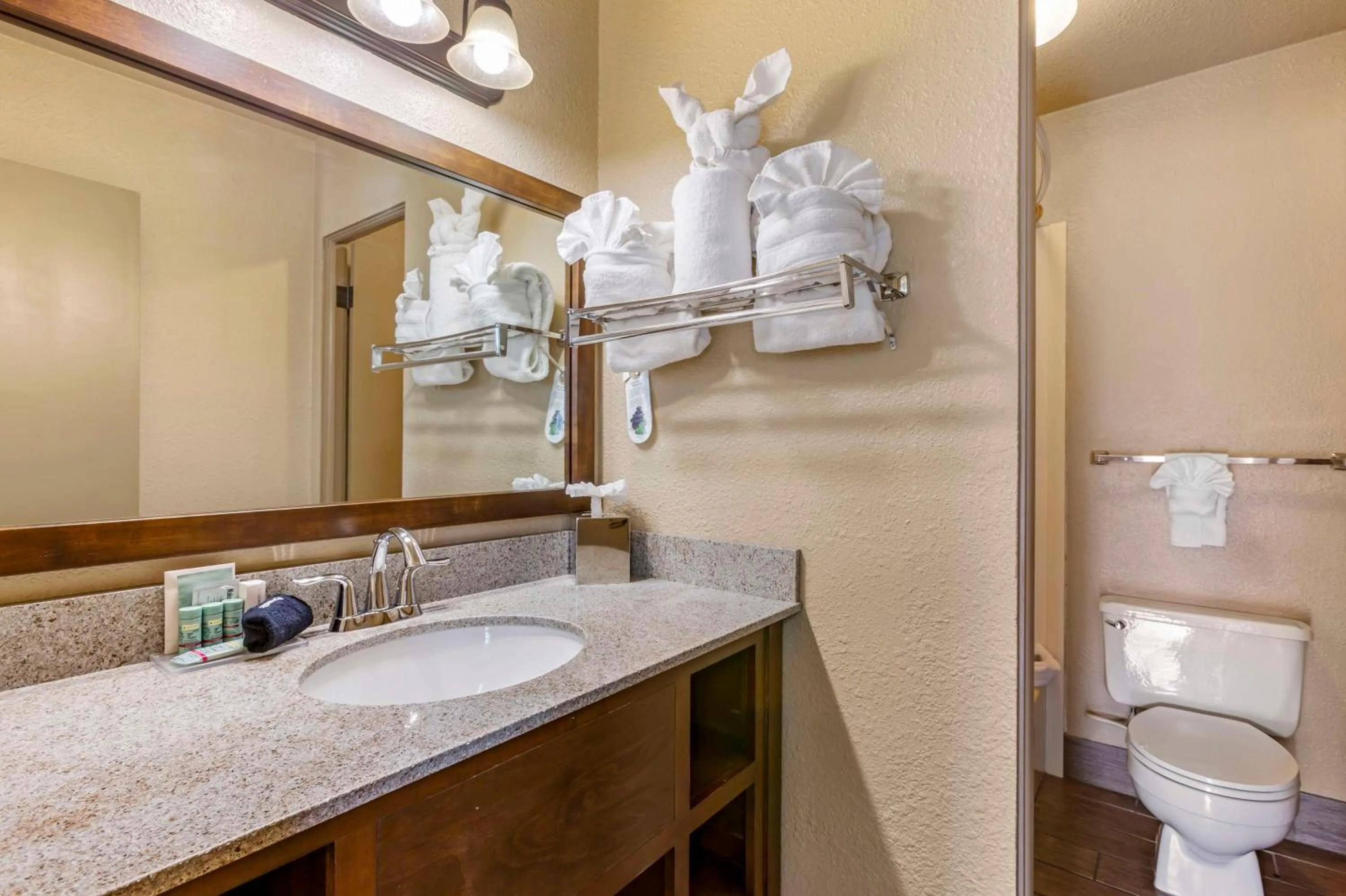 Bathroom in Best Western Sunset Inn