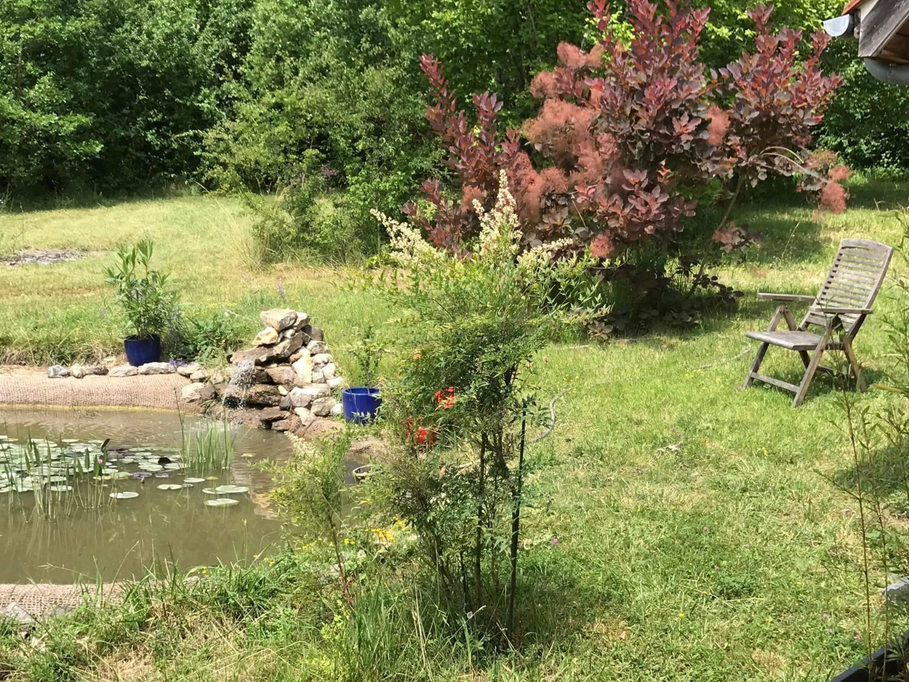 Garden in Chambre d'hôtes La Dentalie