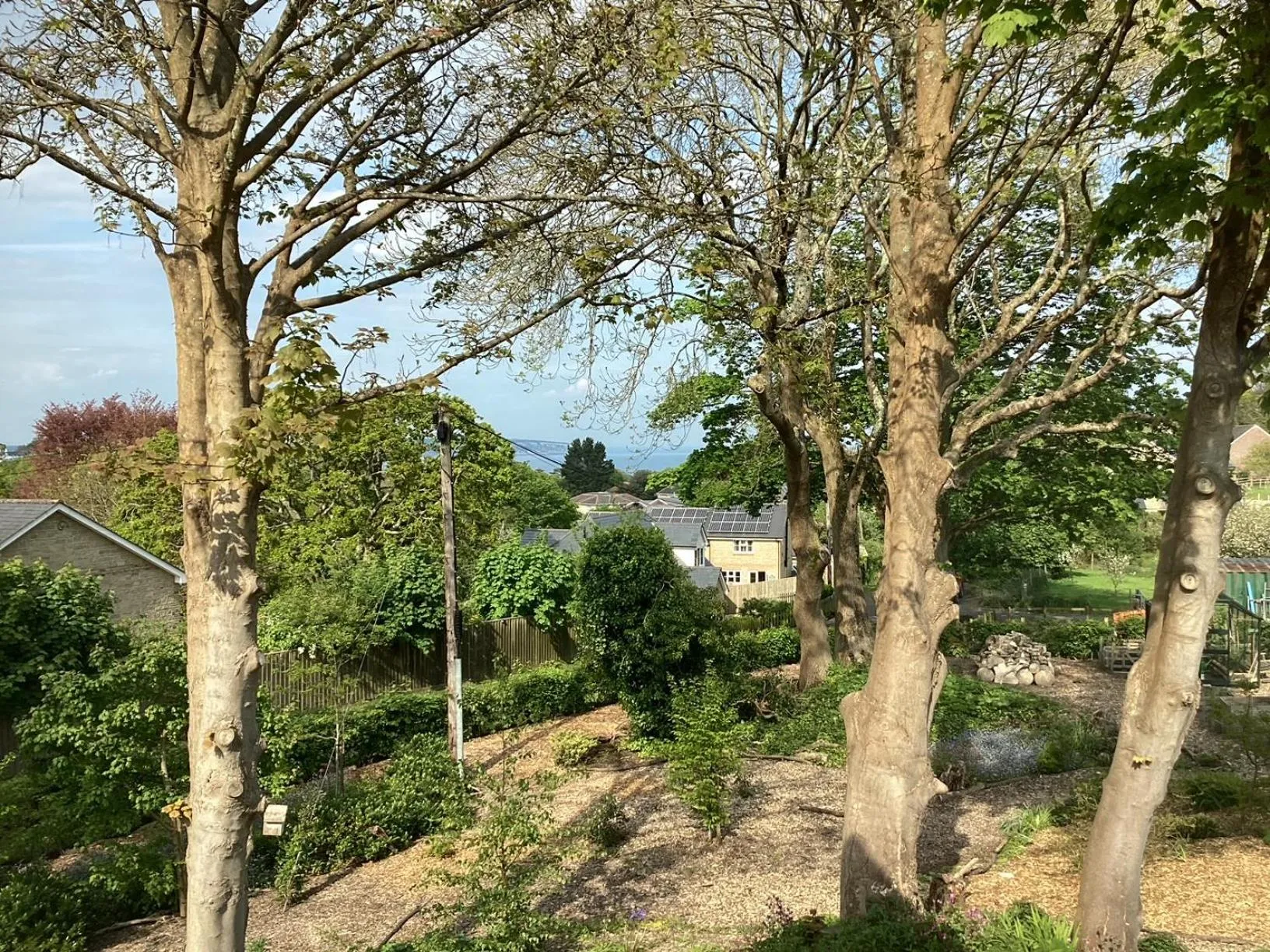 Garden view in Martlets B&B