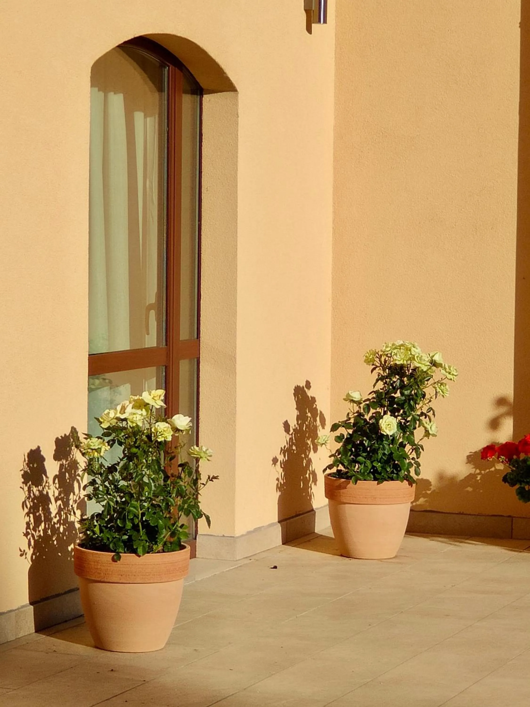 Decorative detail in Il Castellaccio