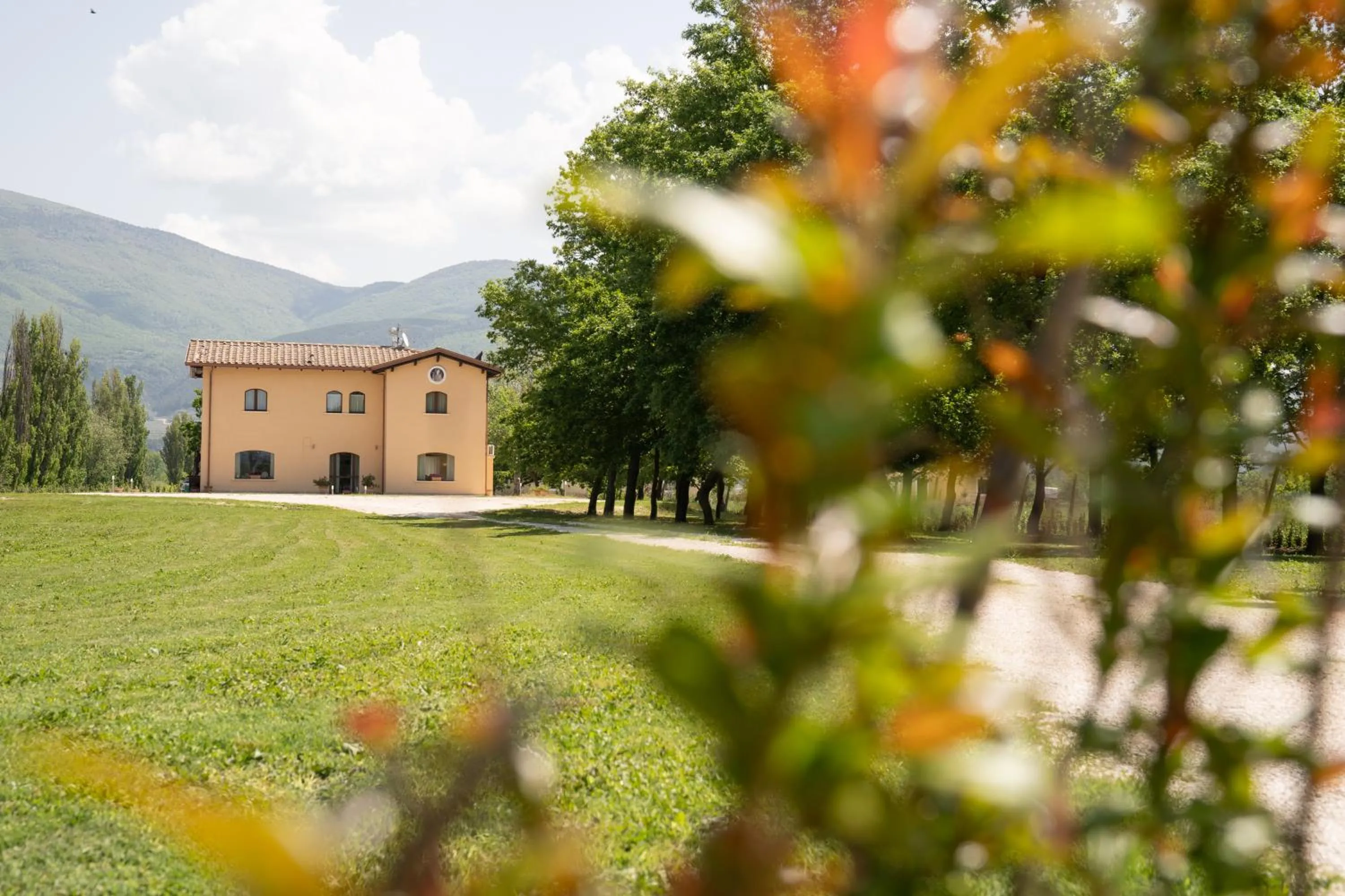 Garden in Il Castellaccio