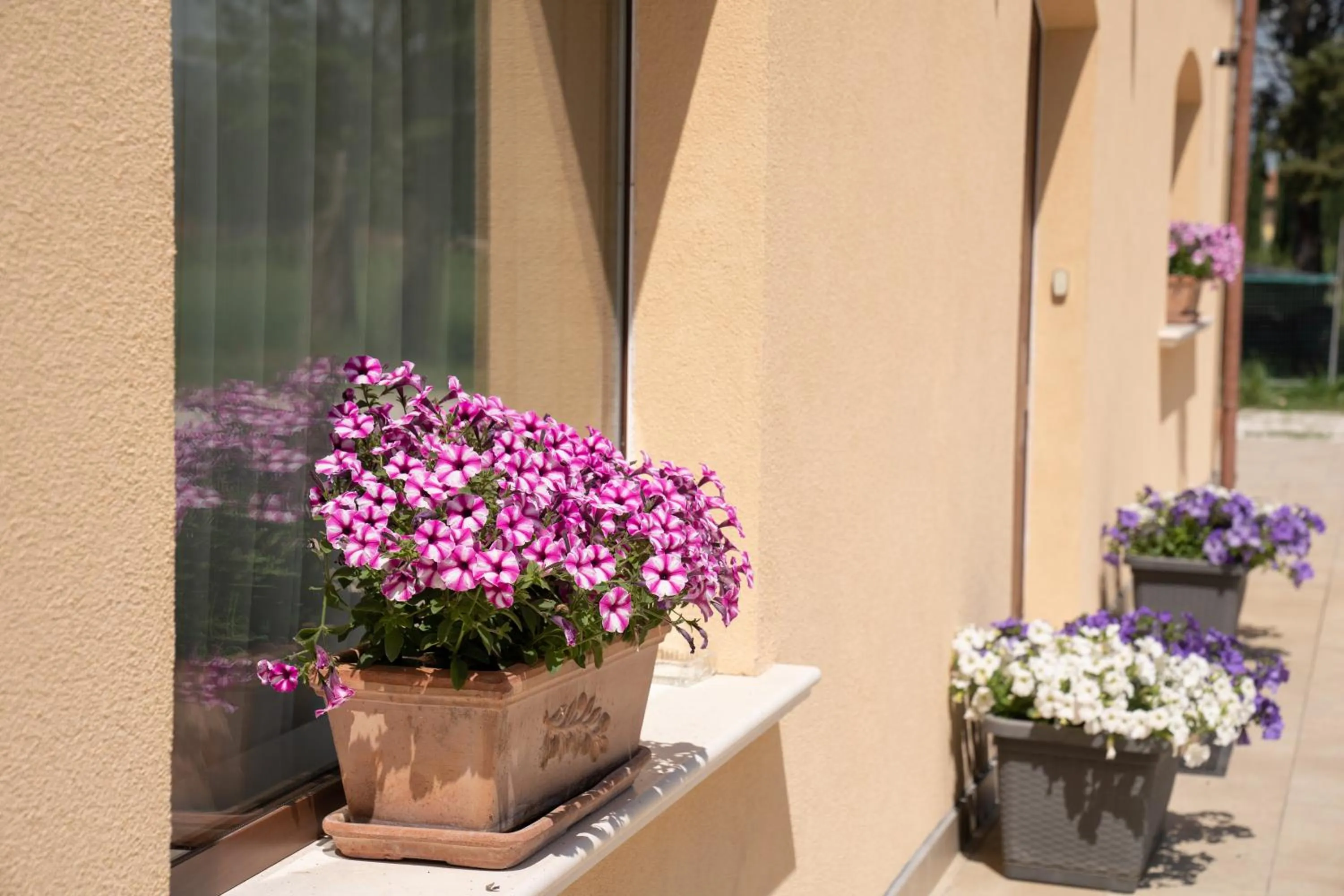 Decorative detail in Il Castellaccio