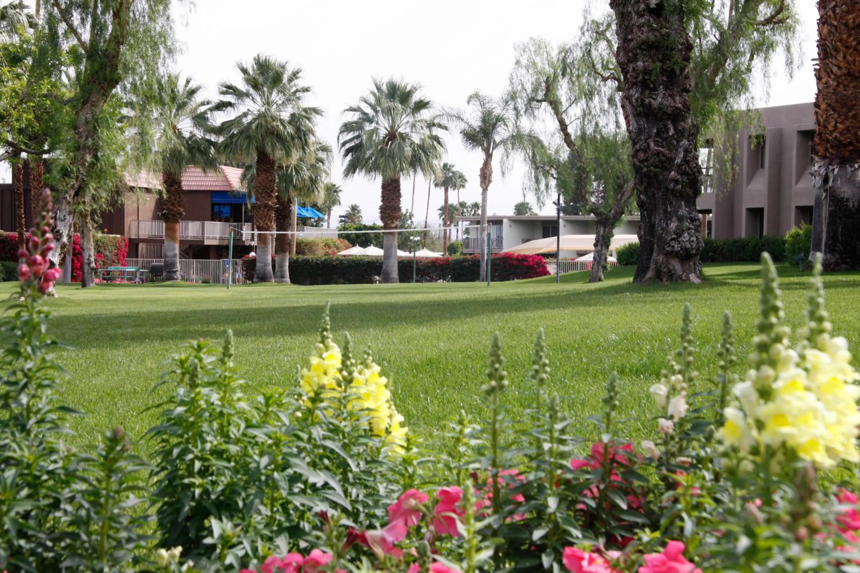 Property building in Shadow Mountain Resort