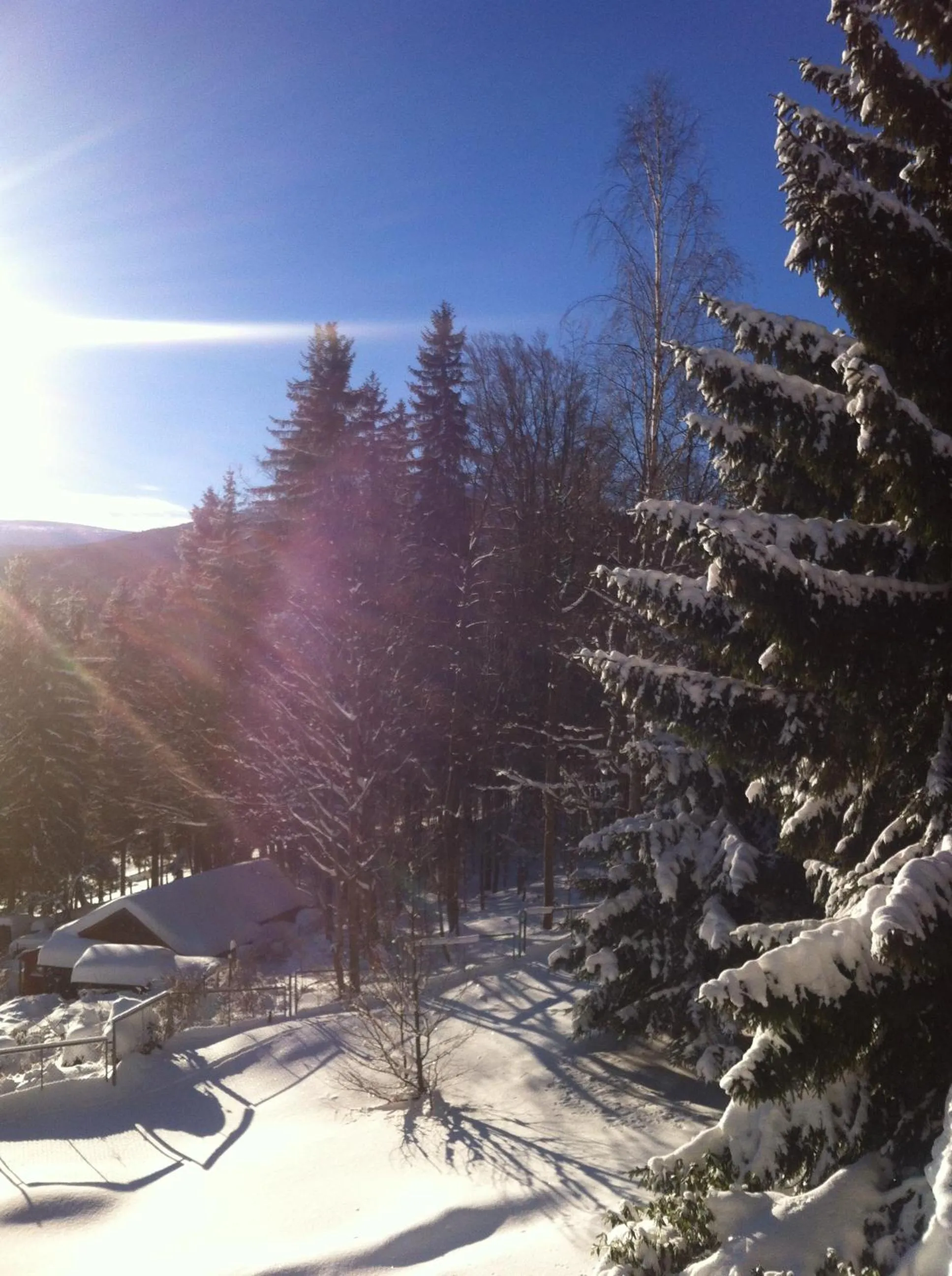 Natural landscape in Willa MARANT