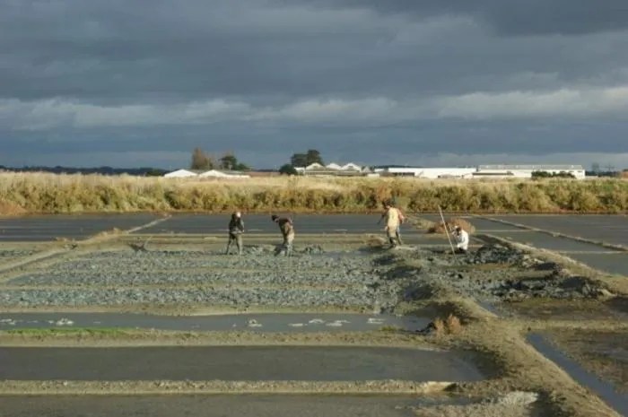 Nearby landmark in Villa Les Quatre Vents