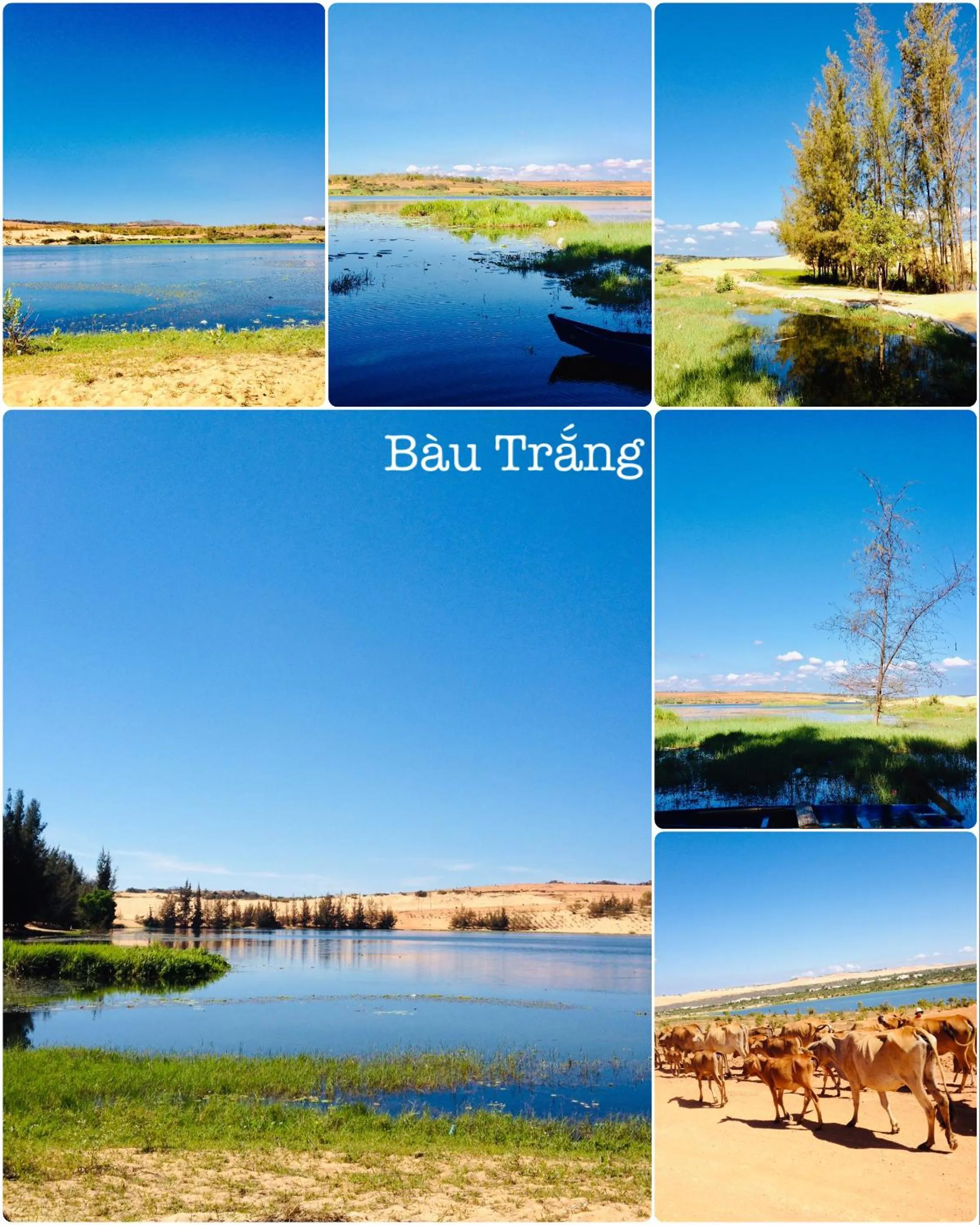 Homestay BONO Mũi Né