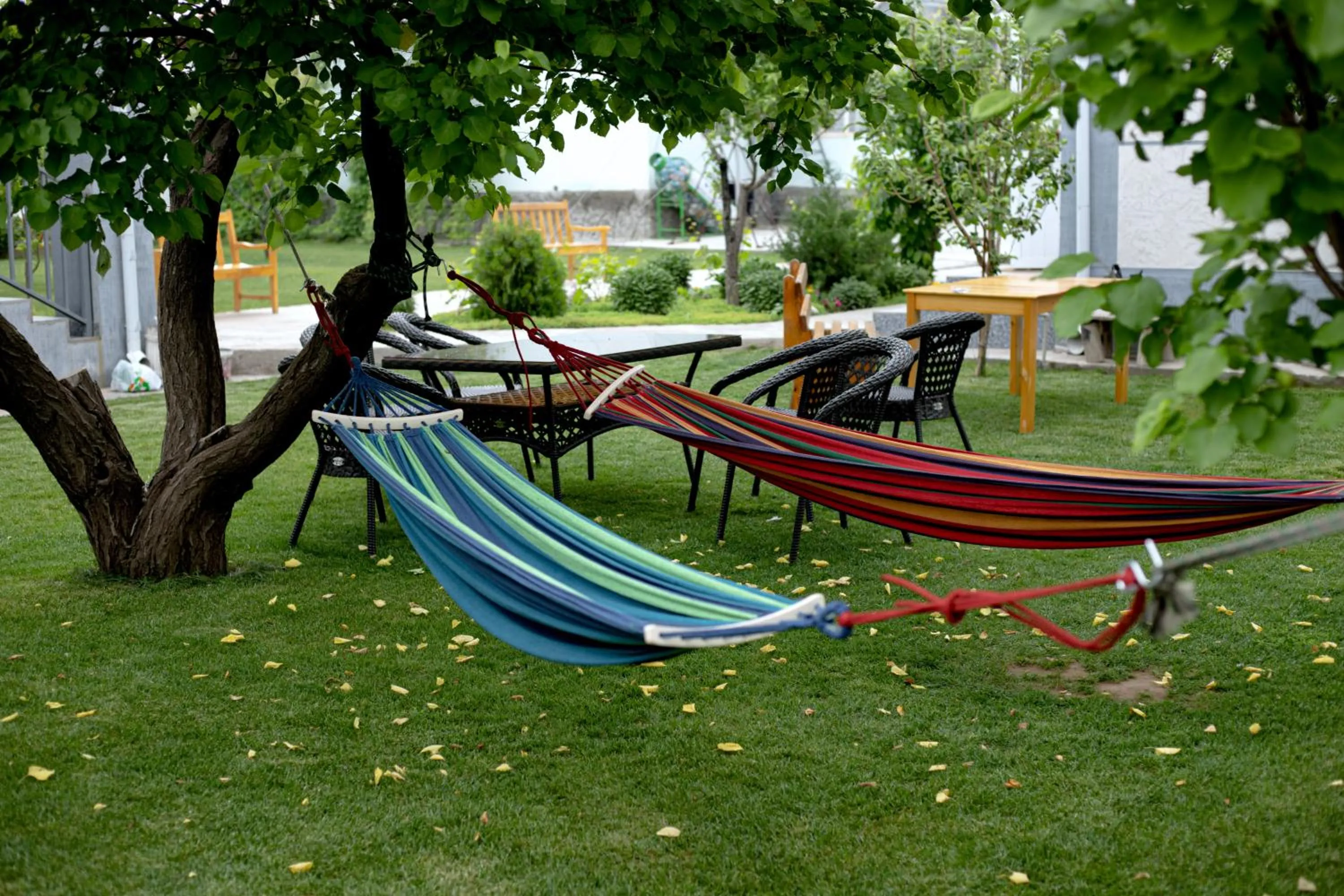 Spring in Hotel Good Night