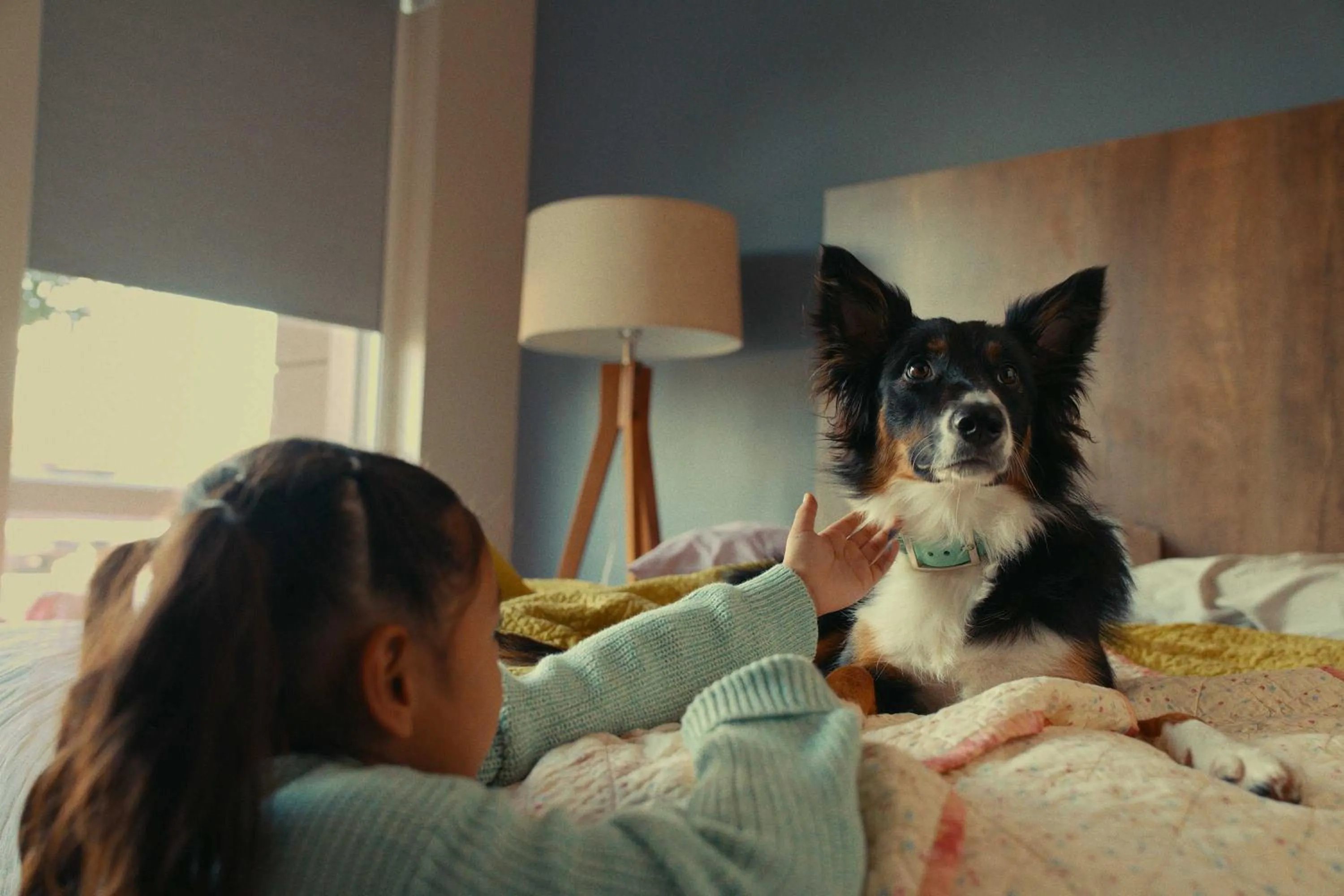 Pets in Extended Stay America Select Suites - Austin - Round Rock