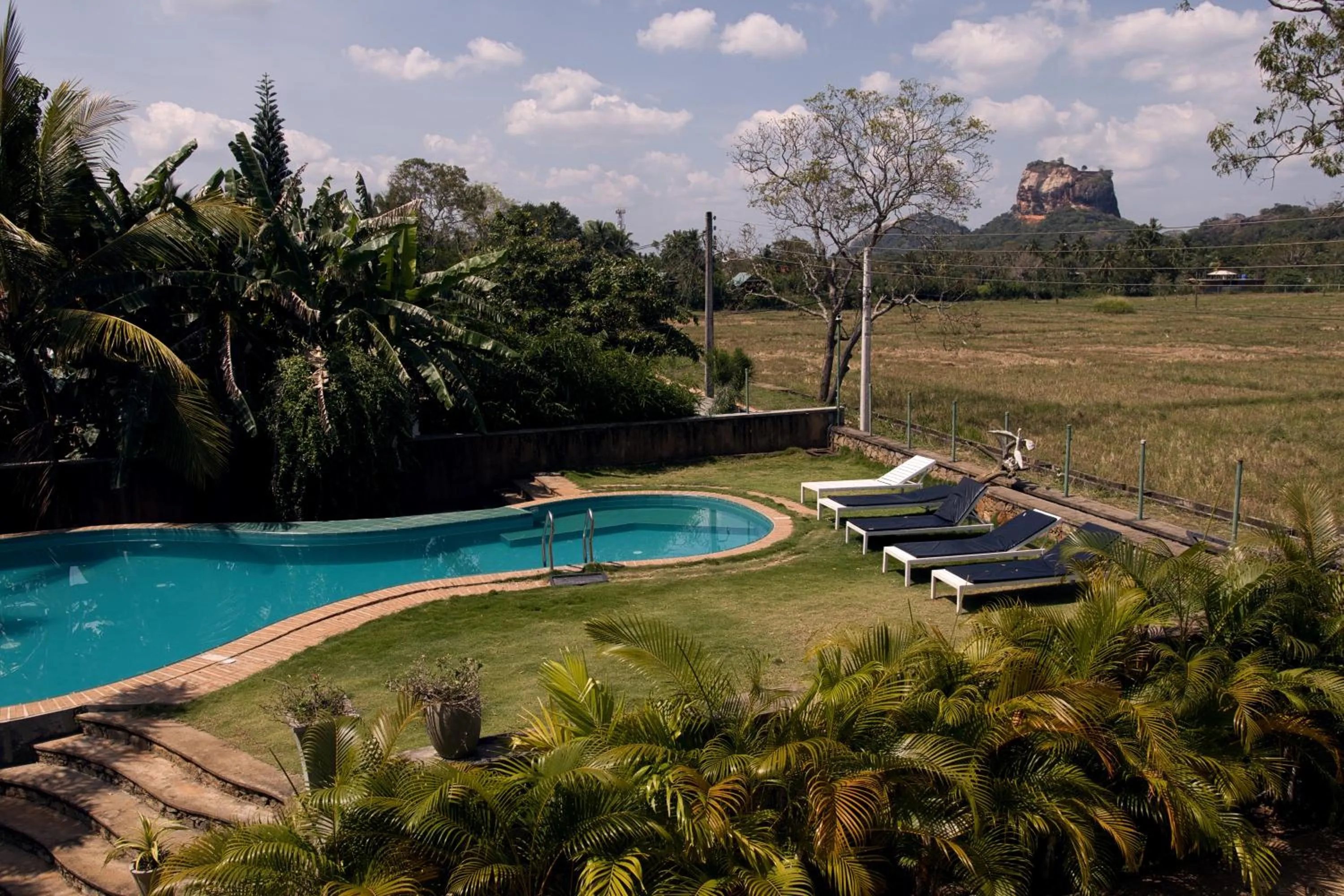 Swimming pool in Royal Rock Sigiriya