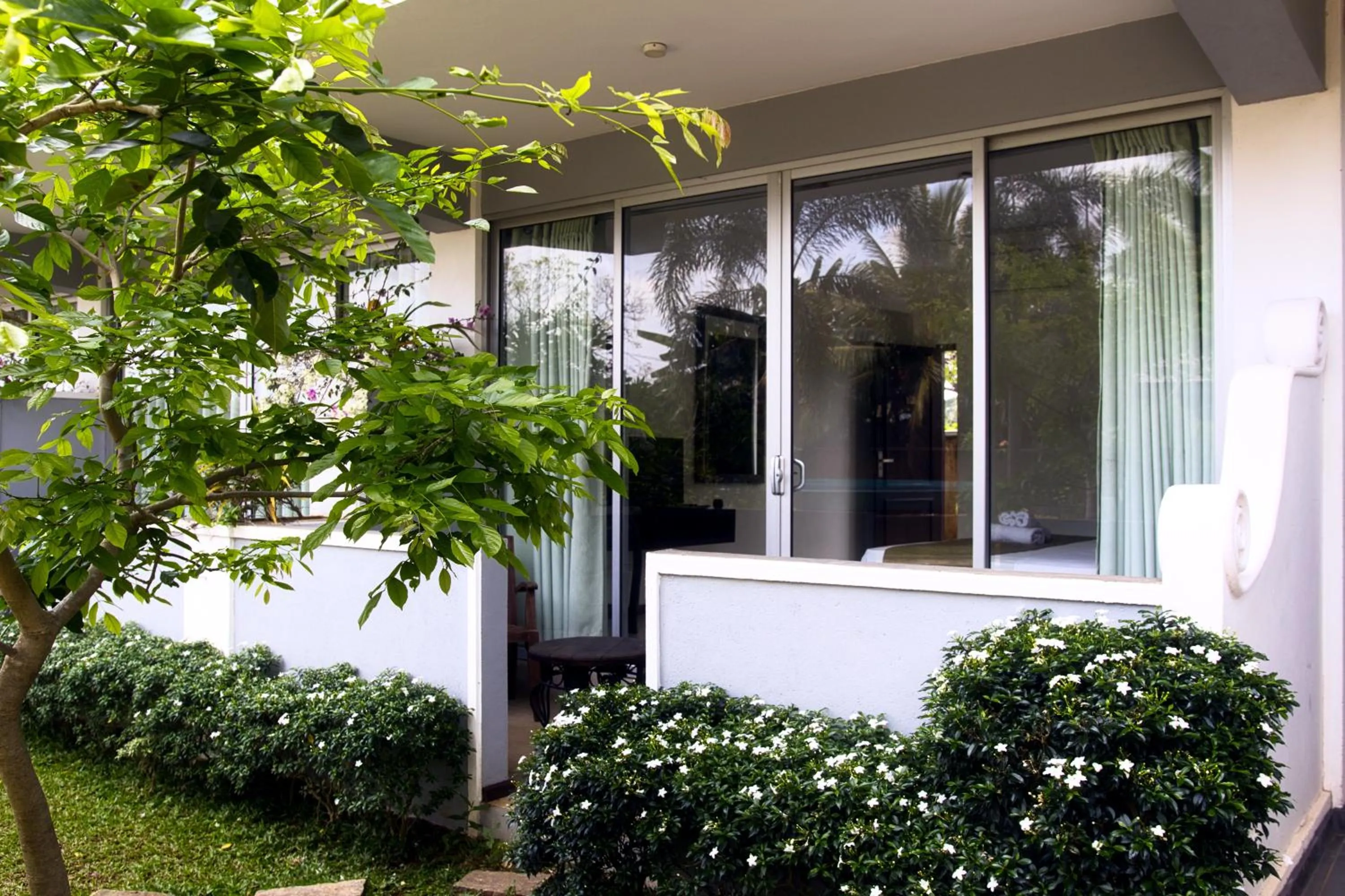 Garden in Royal Rock Sigiriya