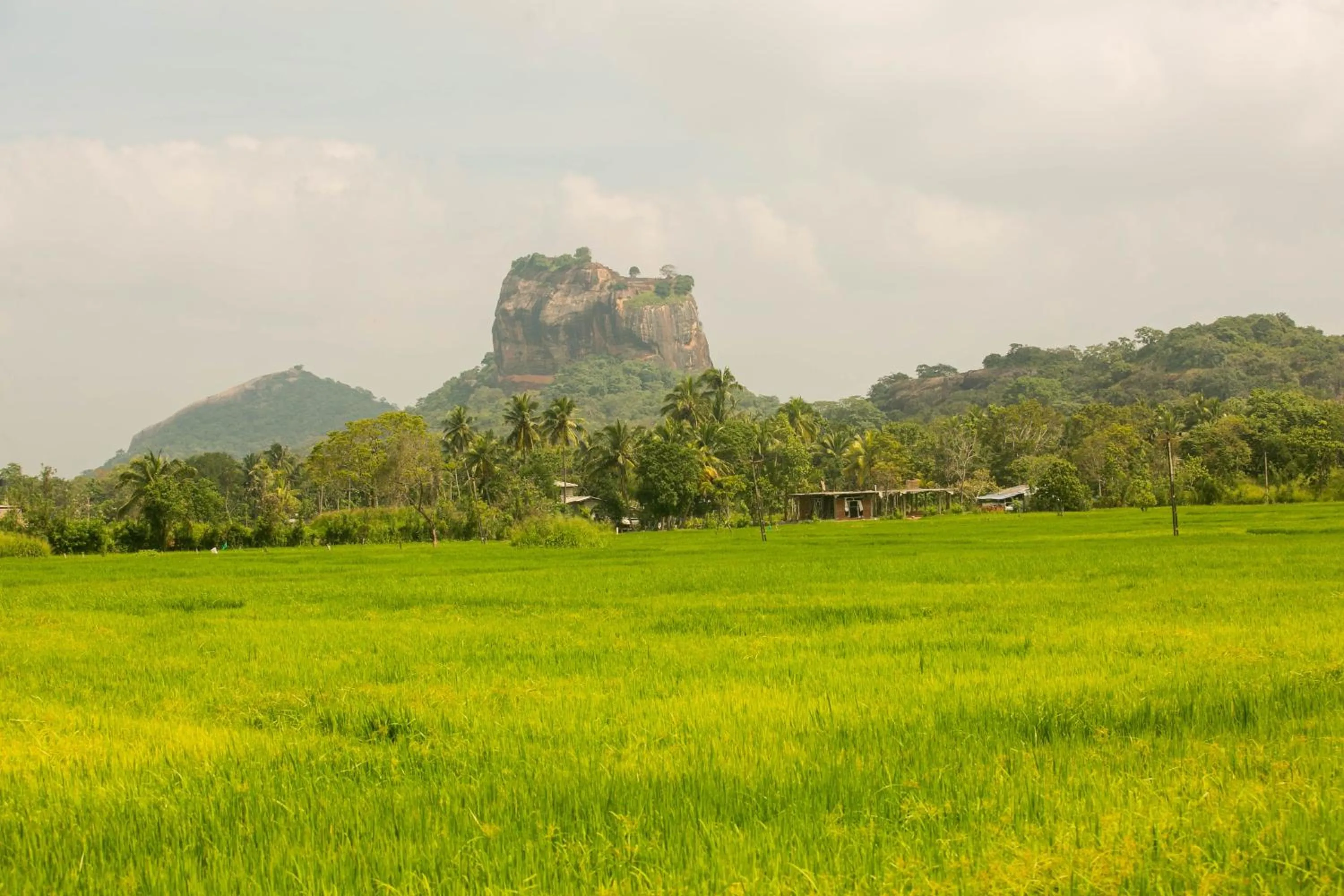 Nearby landmark in Royal Rock Sigiriya