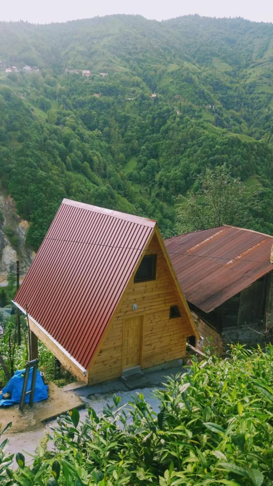 Begi Apart Bungalows Hotel - Çamlıhemşin