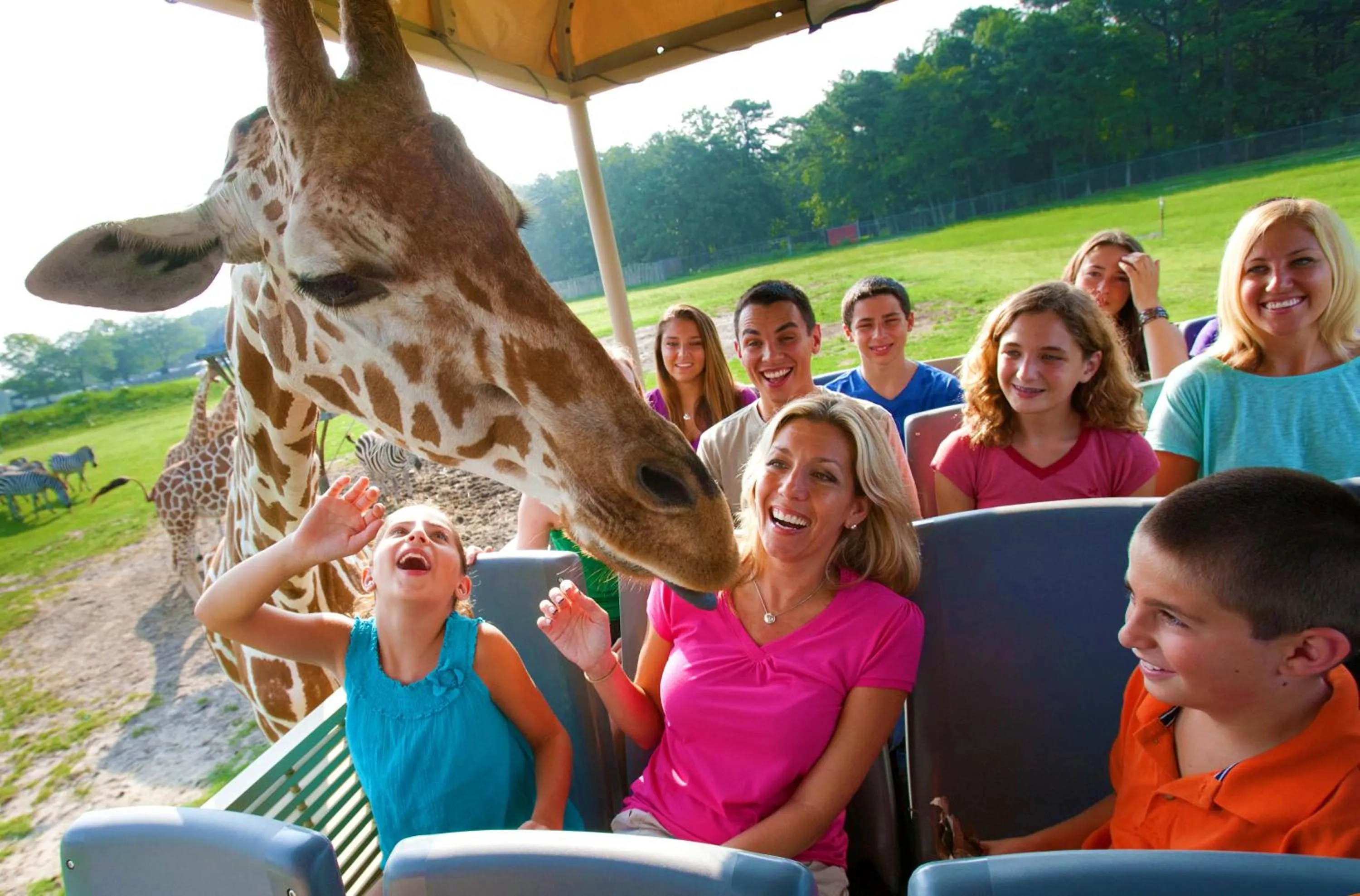 Entertainment in Radisson Hotel Freehold