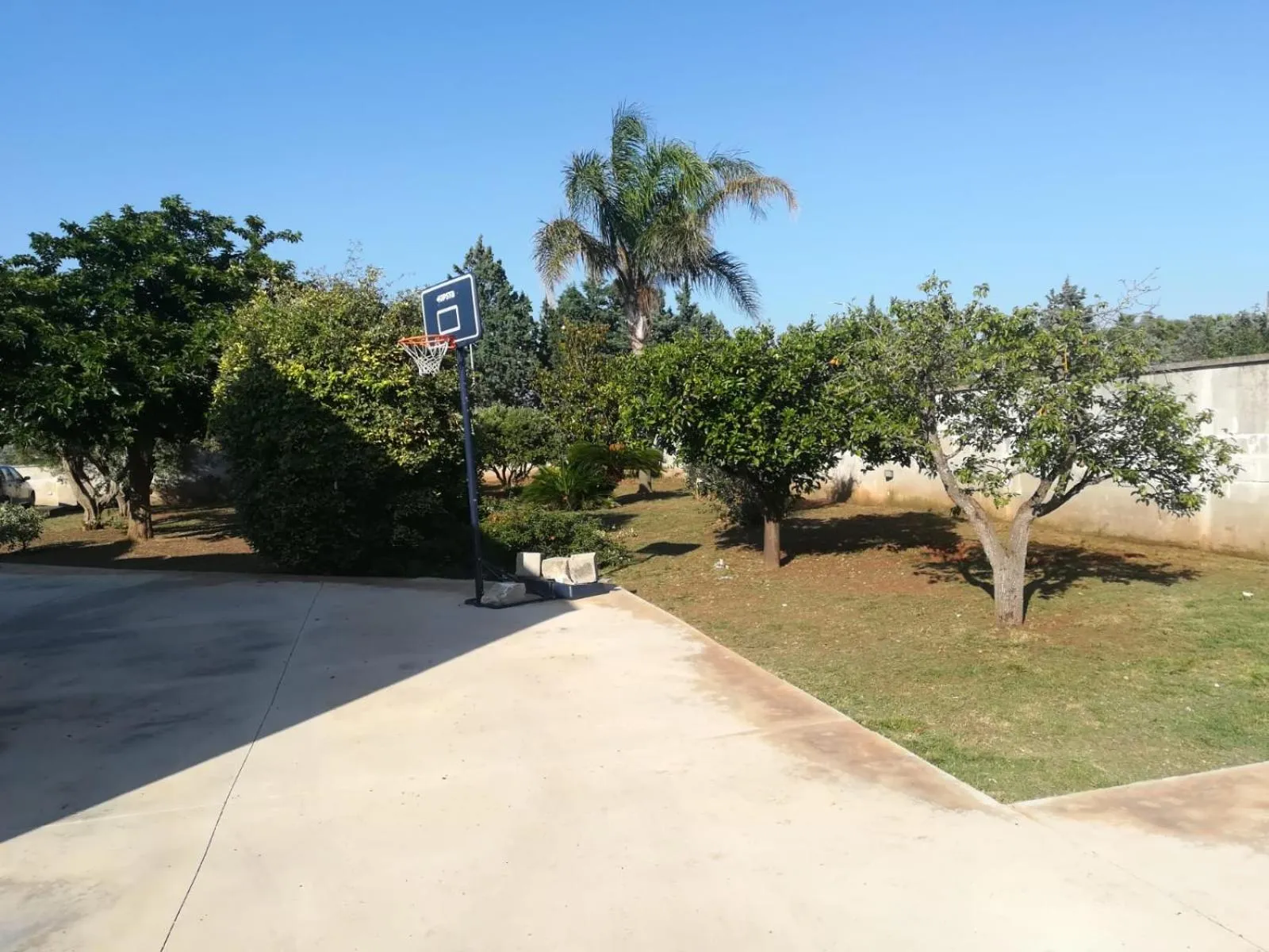 Garden in Il Giardino degli Ulivi