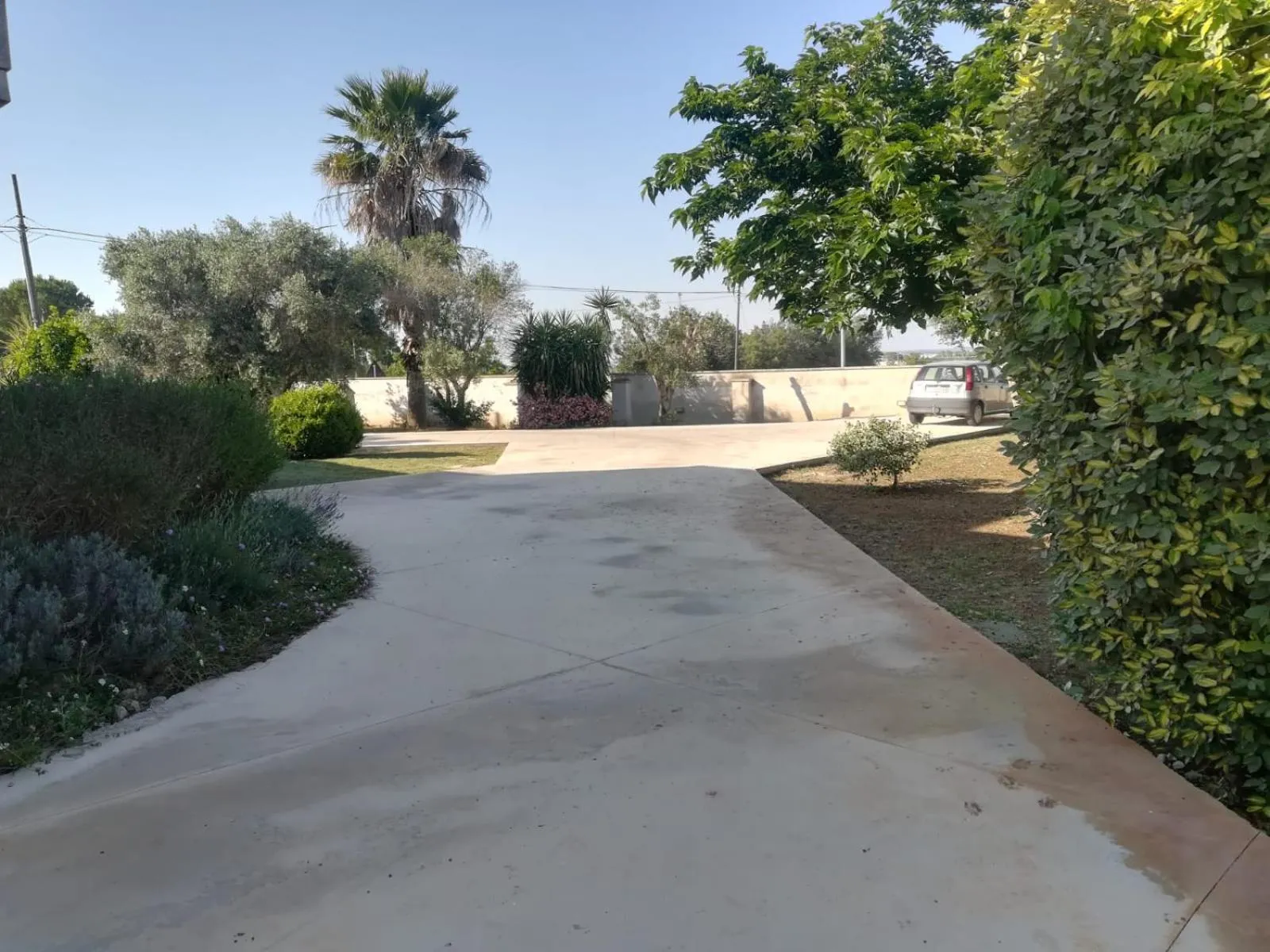 Garden in Il Giardino degli Ulivi