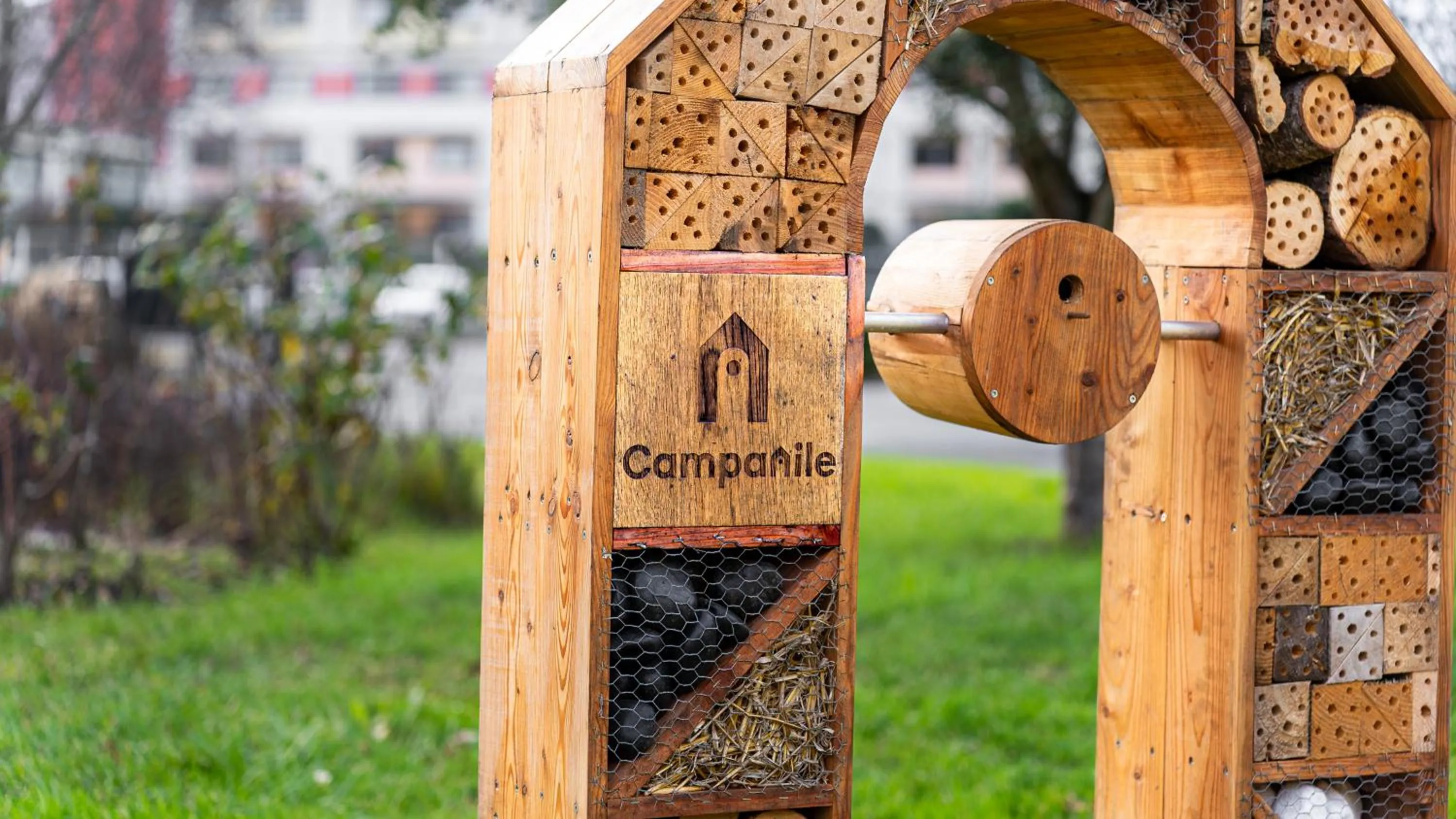 Spring in Campanile NATURE - Bordeaux Lac