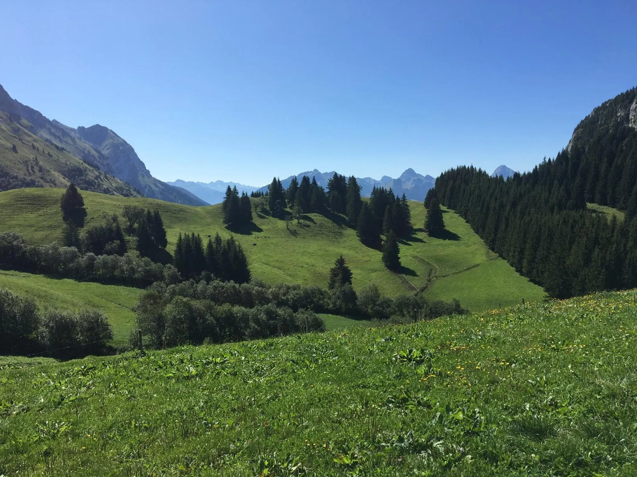 Hiking in FalHappy House