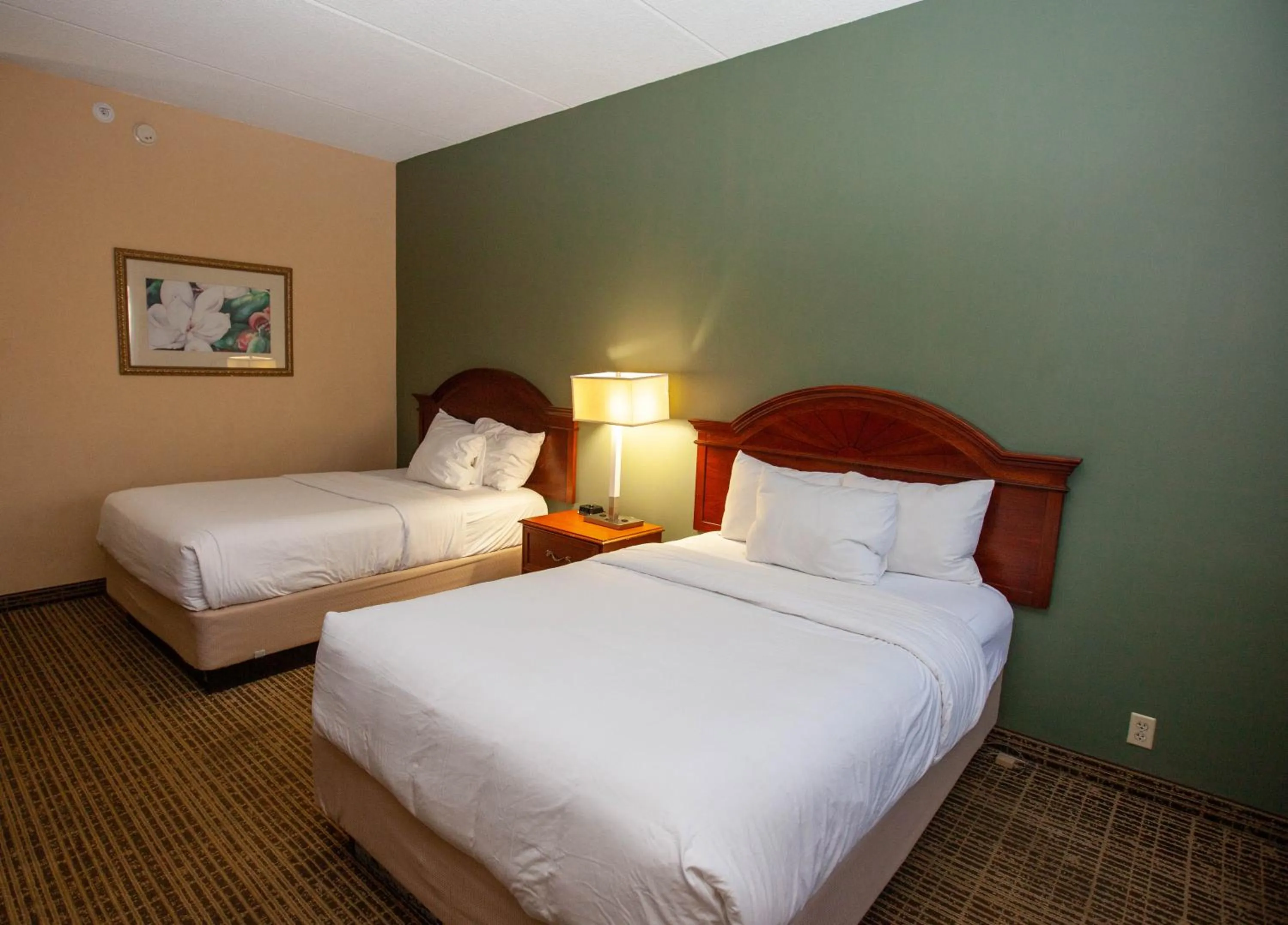 Bed in Baymont by Wyndham Knoxville/Cedar Bluff