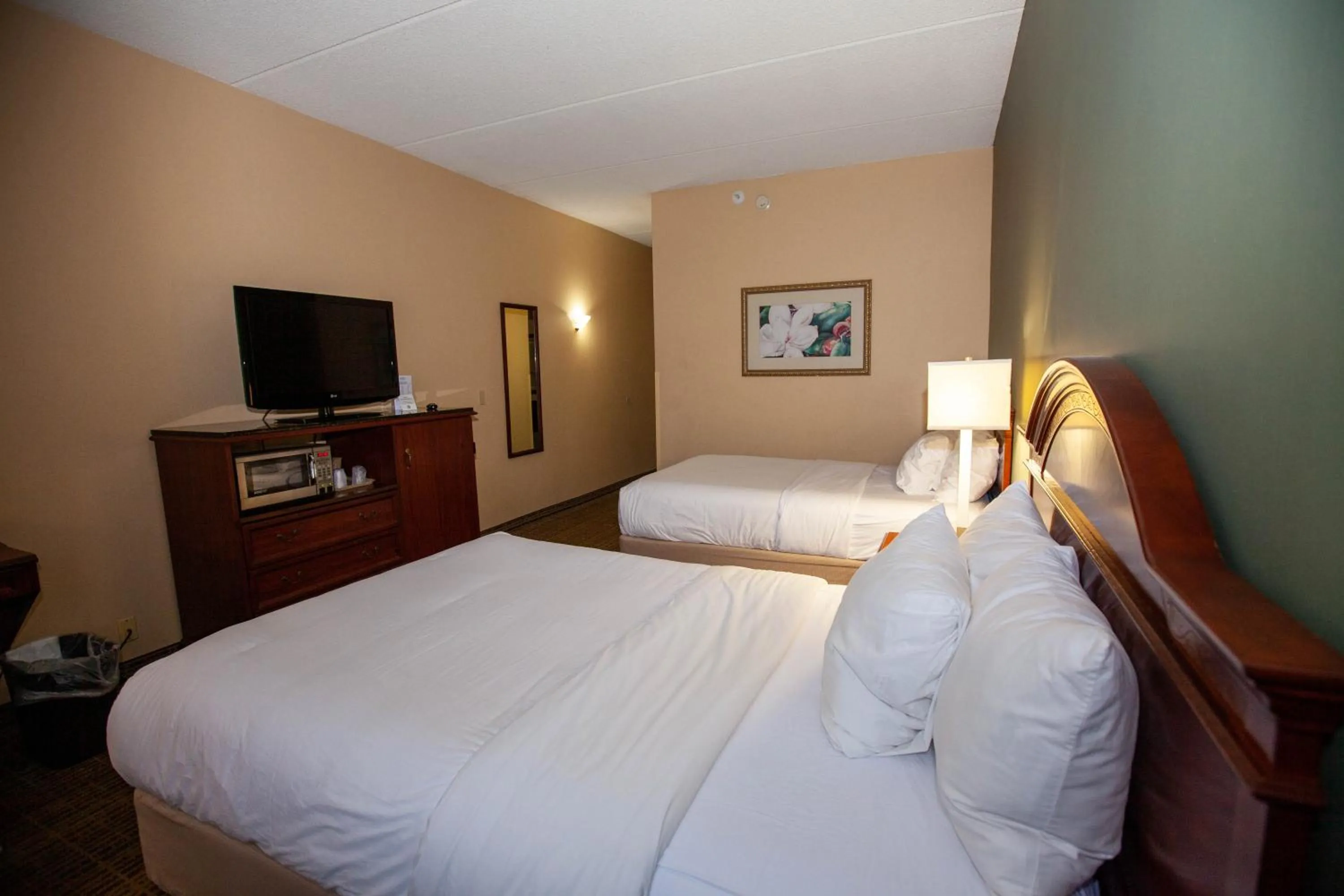 Bedroom, Bed in Baymont by Wyndham Knoxville/Cedar Bluff