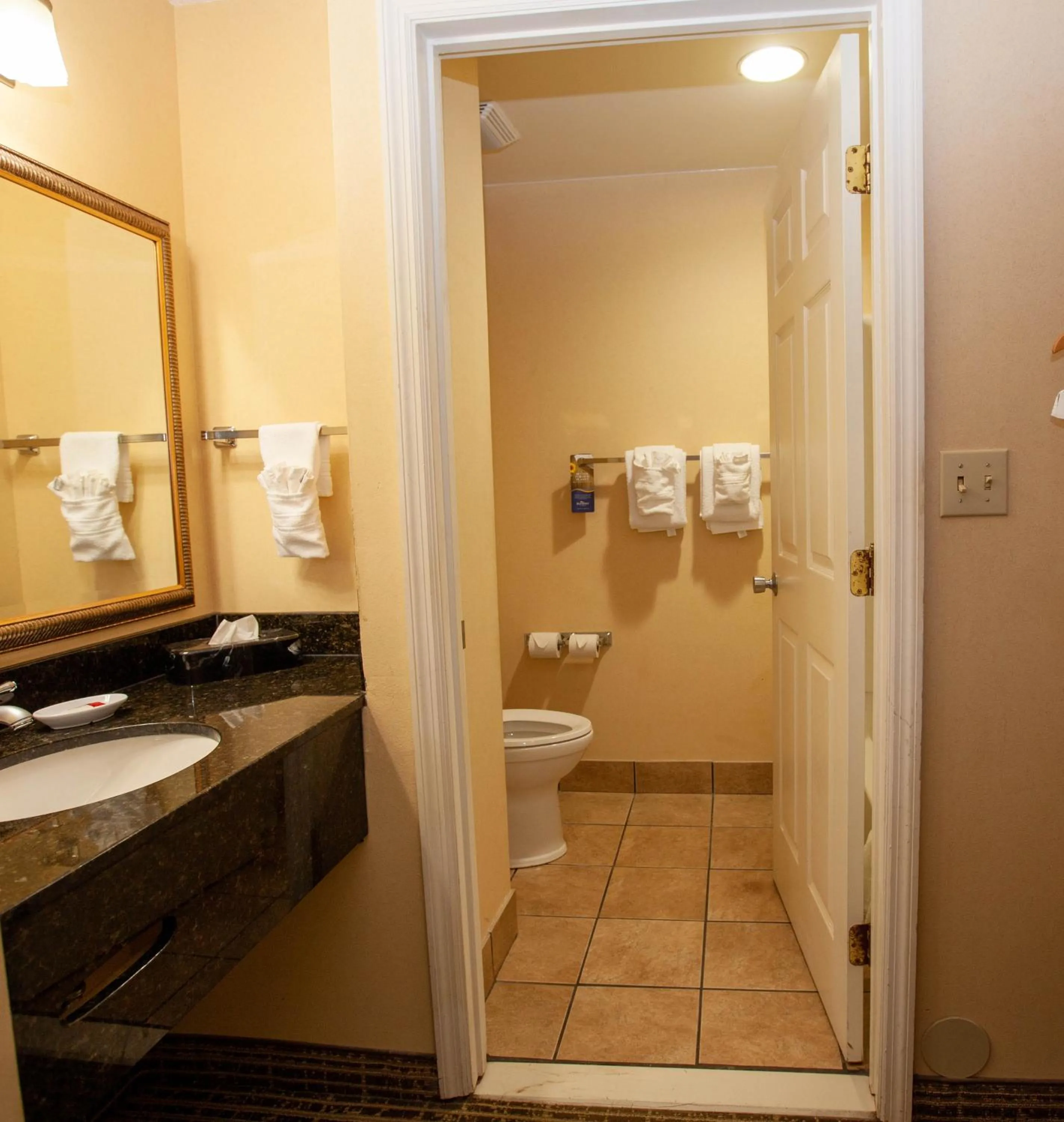 Bathroom in Baymont by Wyndham Knoxville/Cedar Bluff