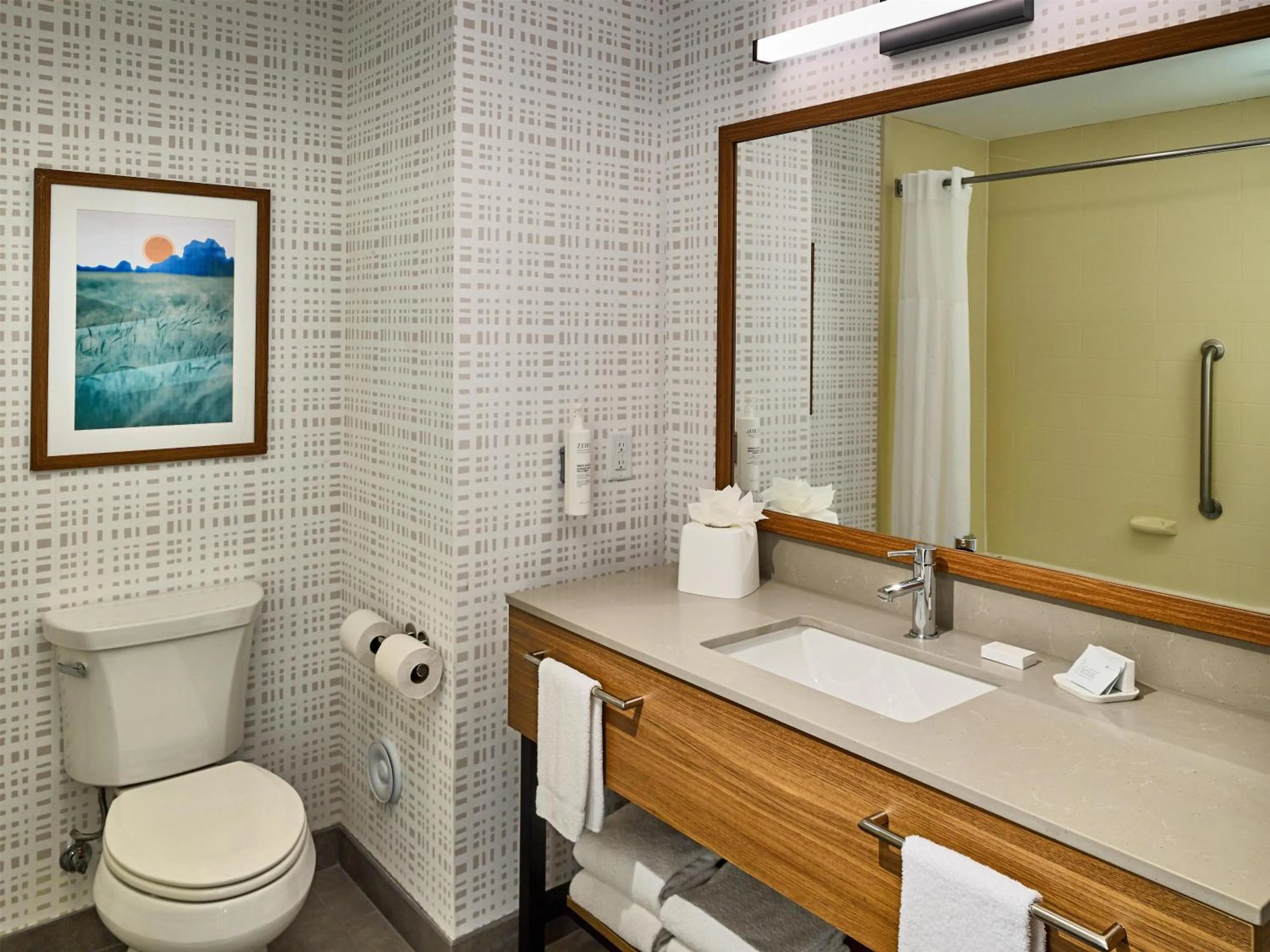 Bathroom in Hampton Inn Pigeon Forge