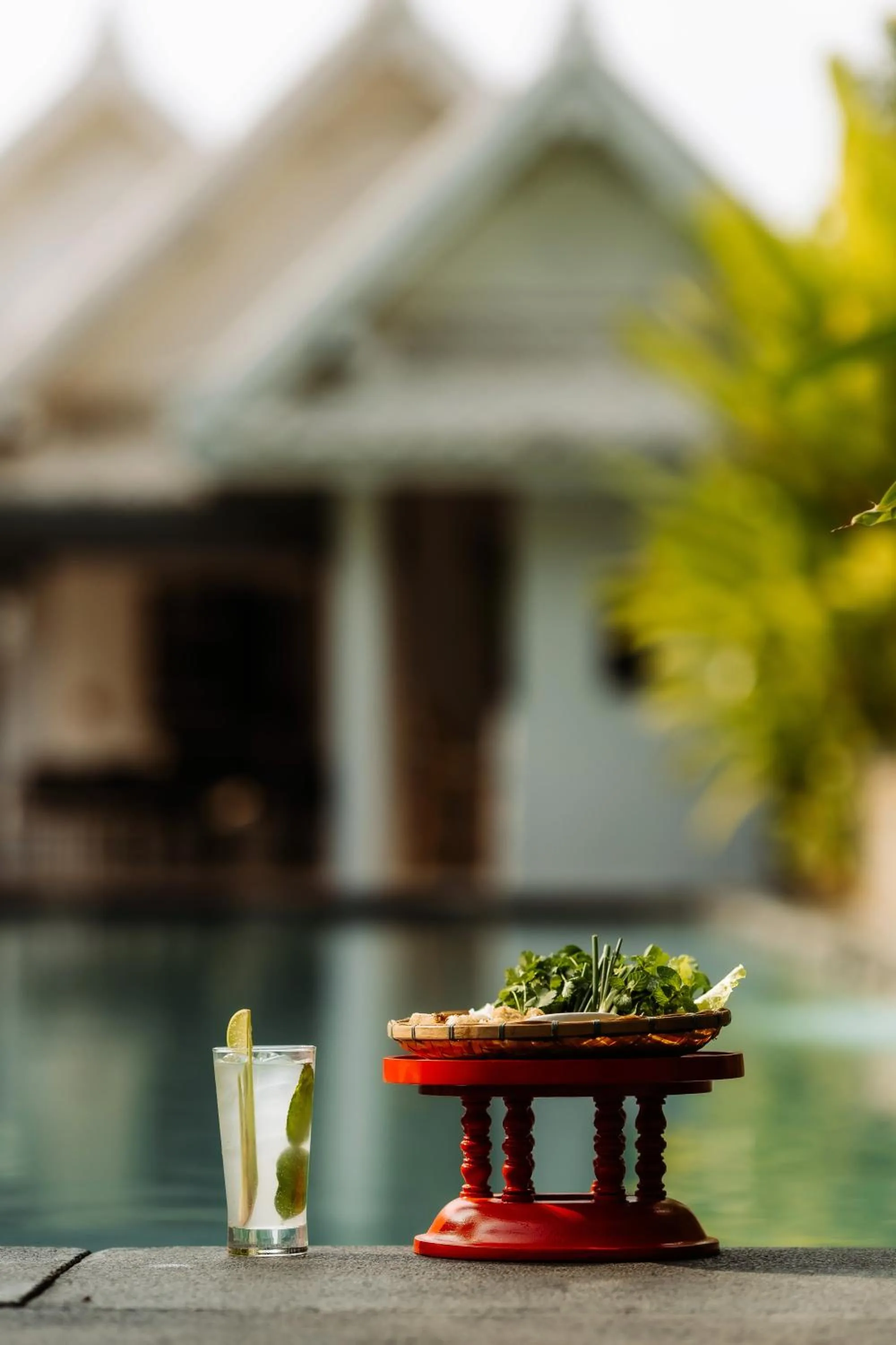 Garden in Souphattra Hotel Luang Prabang