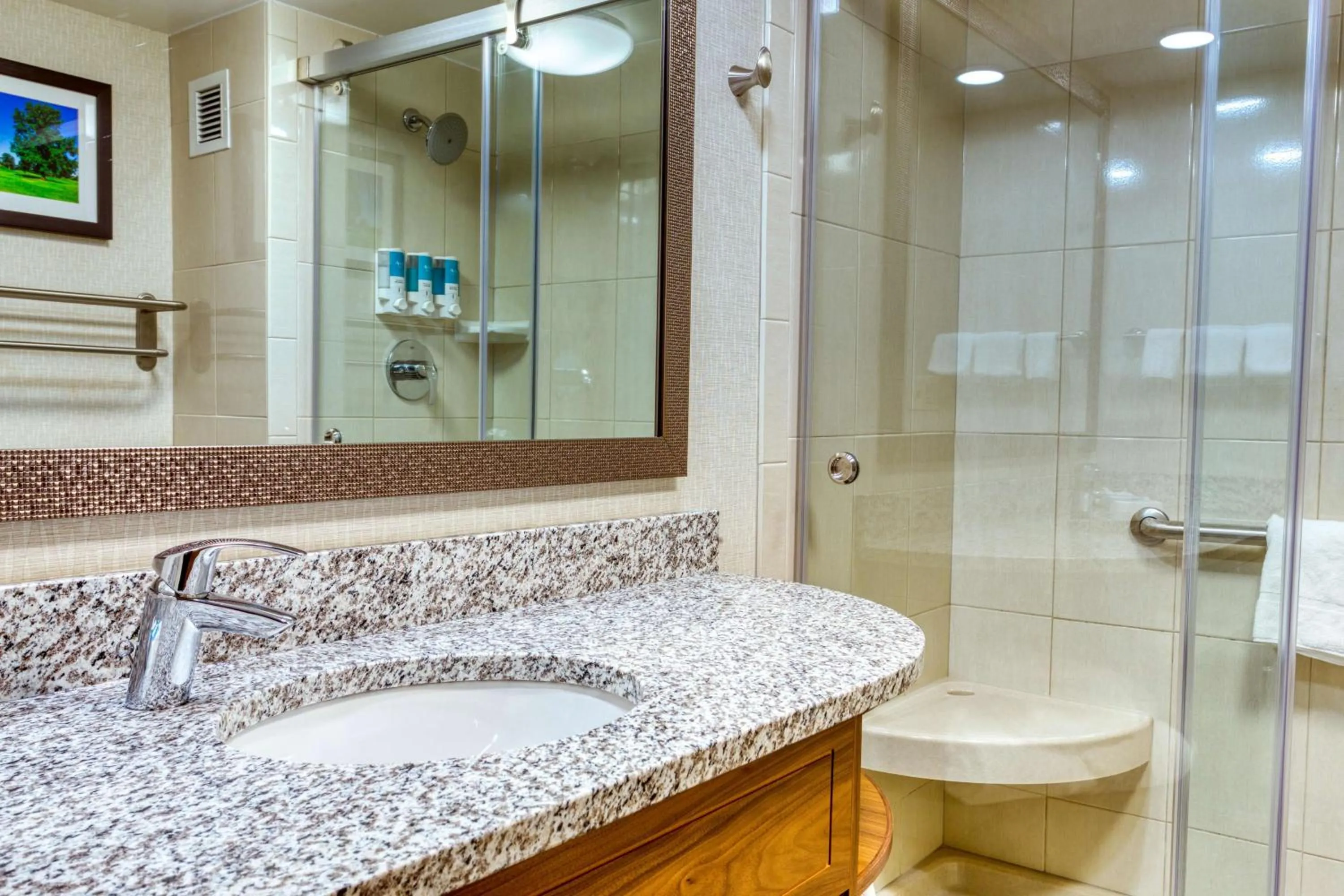 Bathroom in Drury Inn and Suites St Louis Collinsville