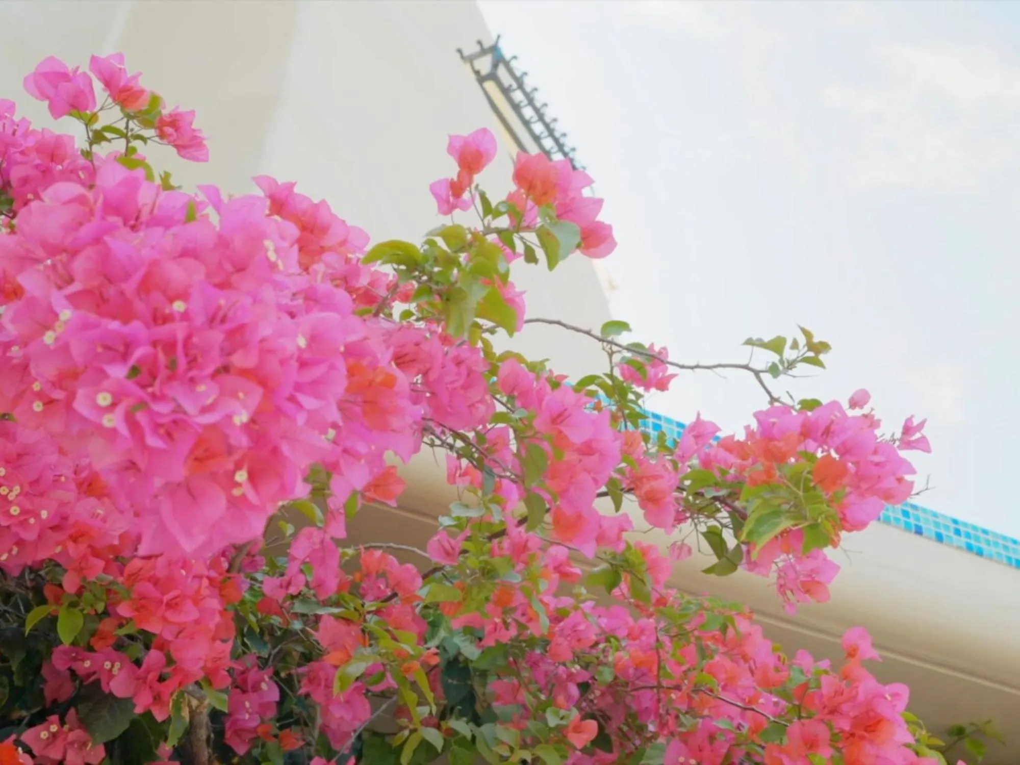 Area and facilities in Yuki Suite Kourijima