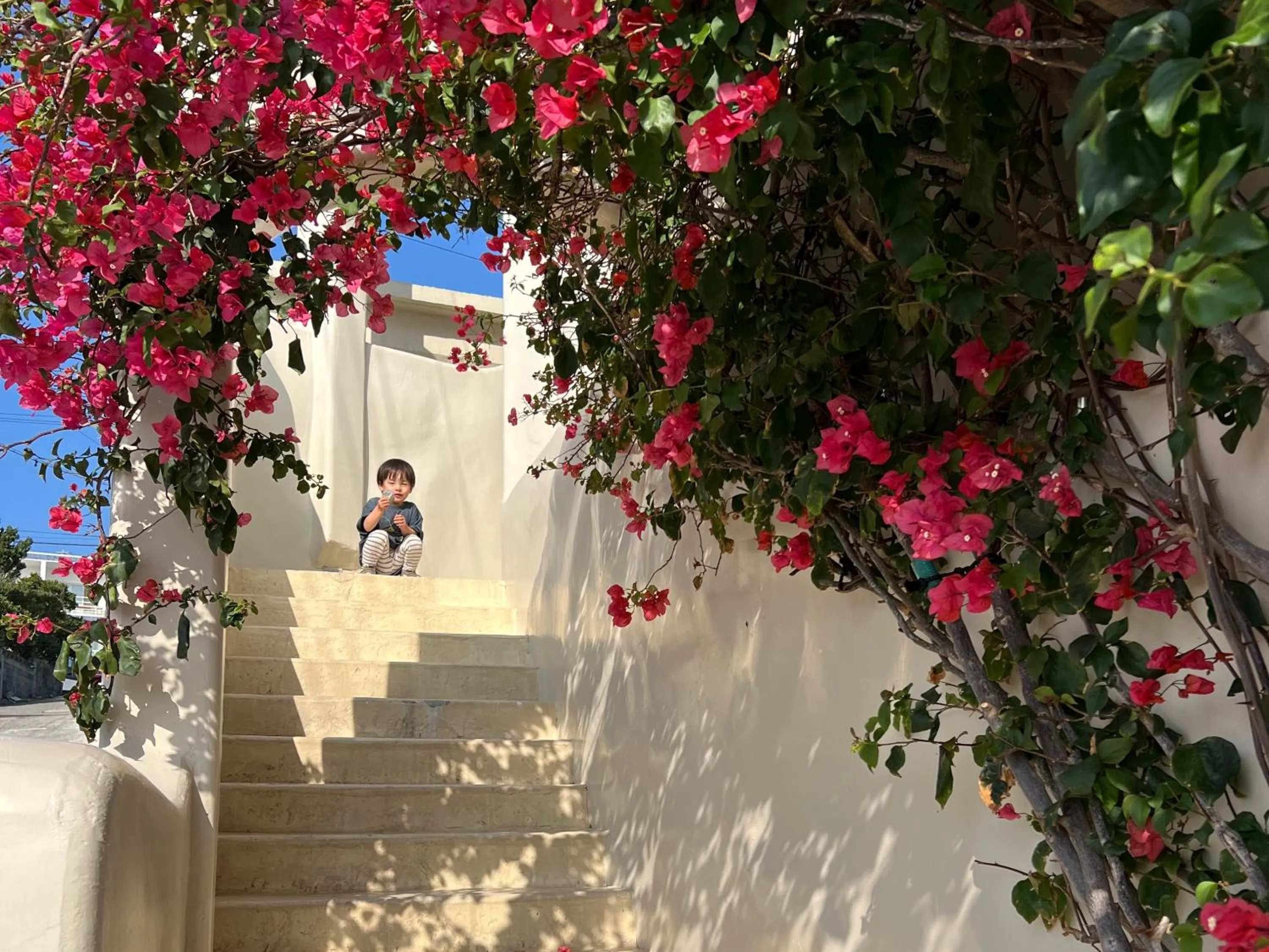 Area and facilities in Yuki Suite Kourijima