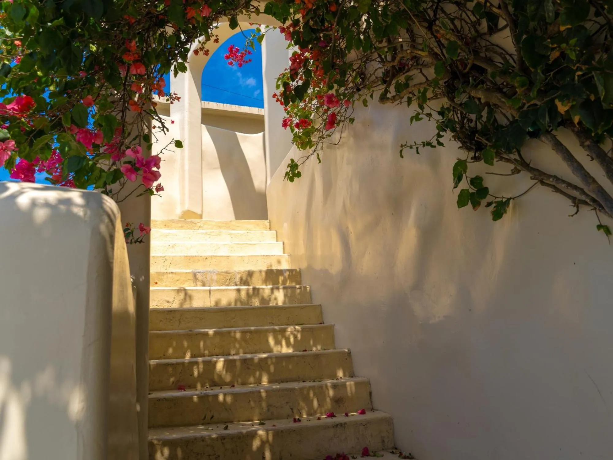 Area and facilities in Yuki Suite Kourijima