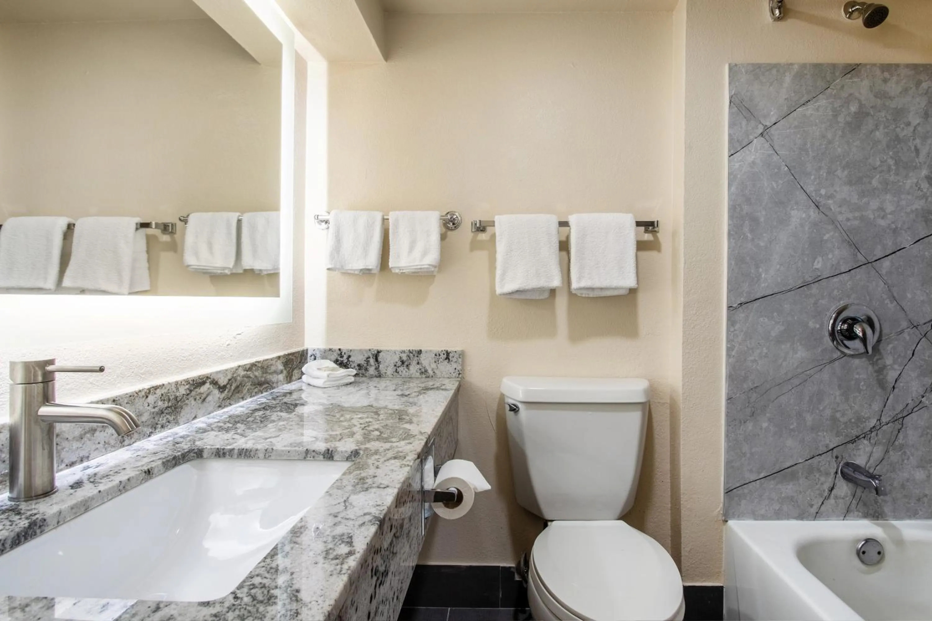 Bathroom in Red Roof Inn El Paso West