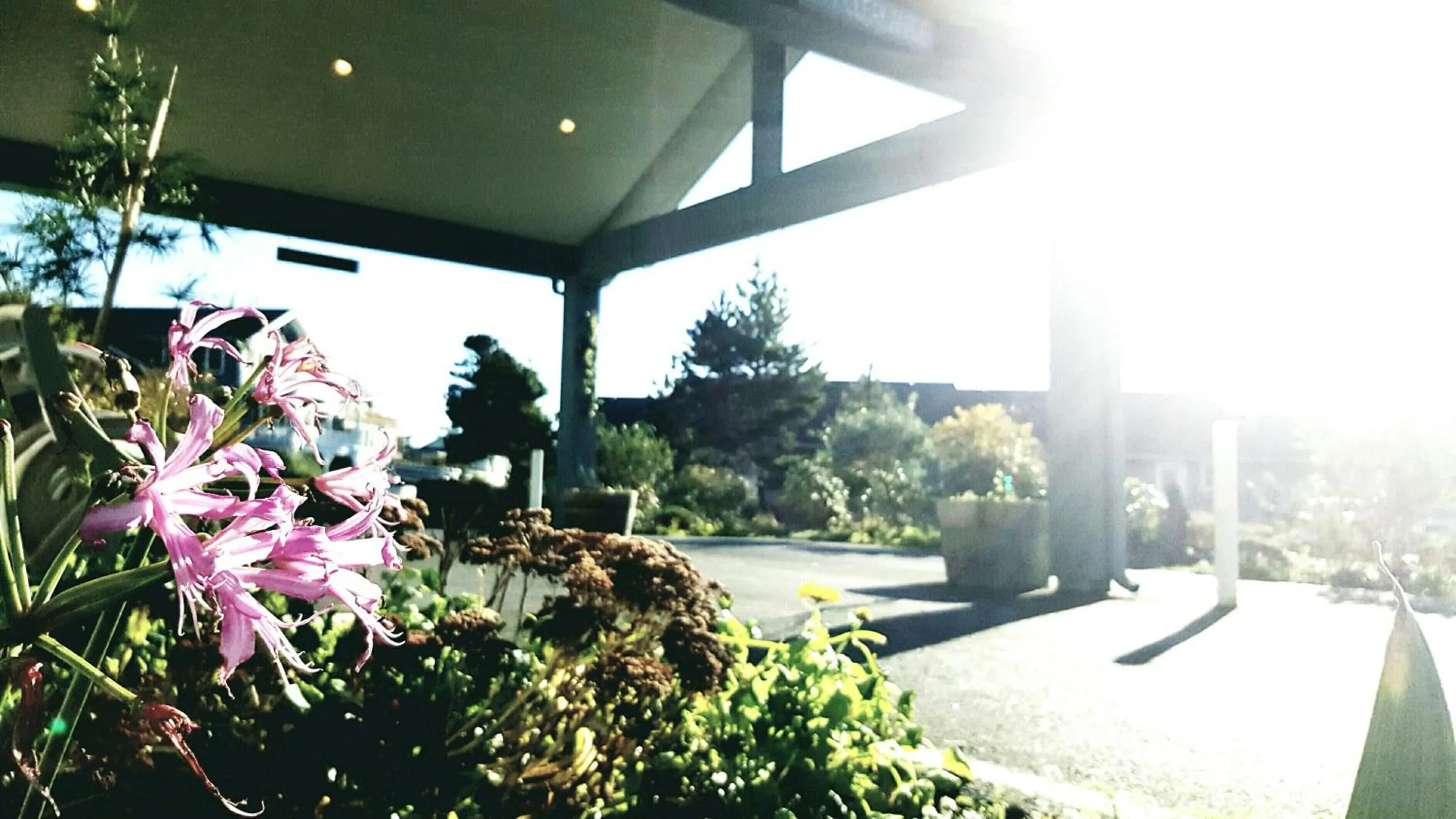 Spring in The Breakers Long Beach