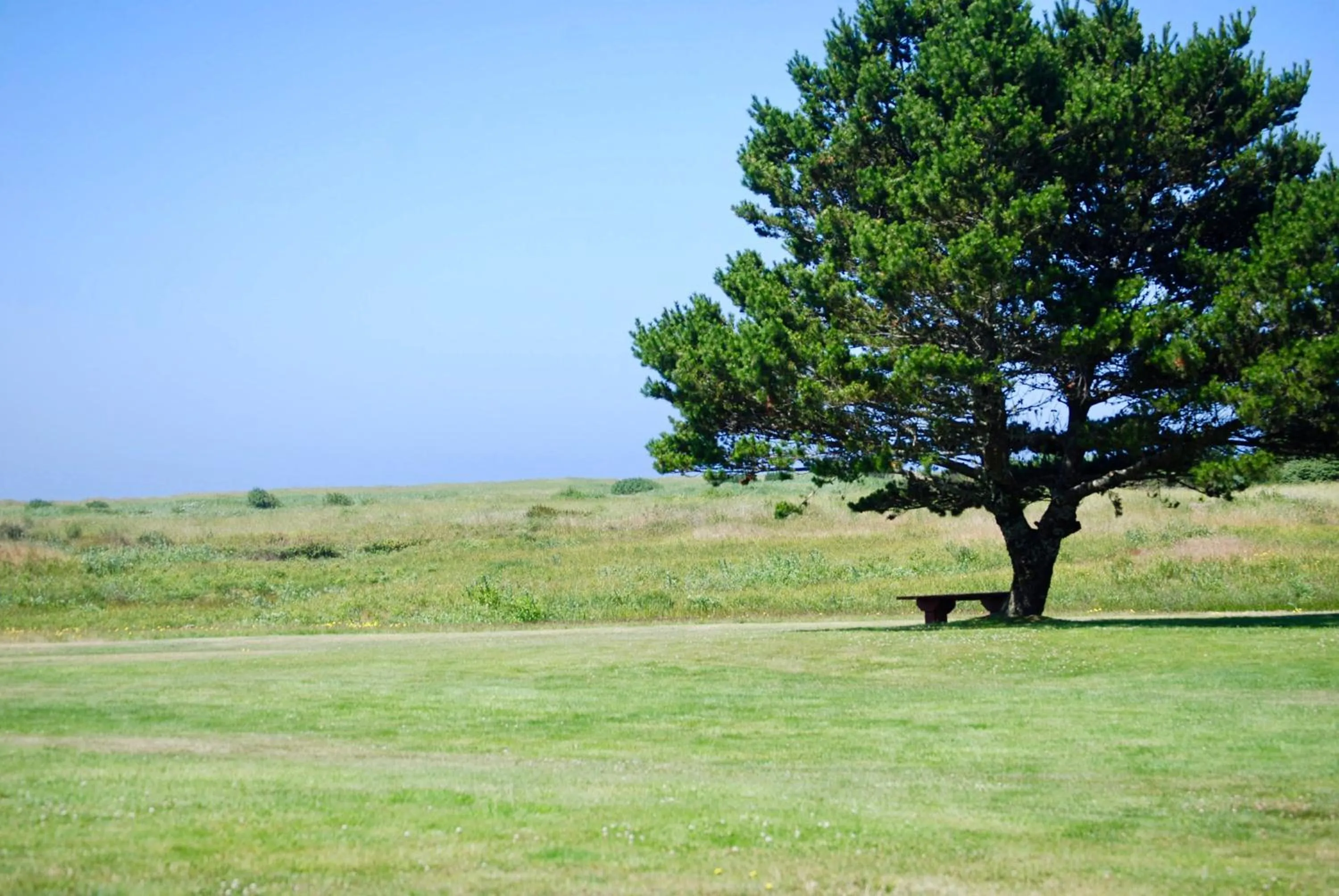 View (from property/room) in The Breakers Long Beach