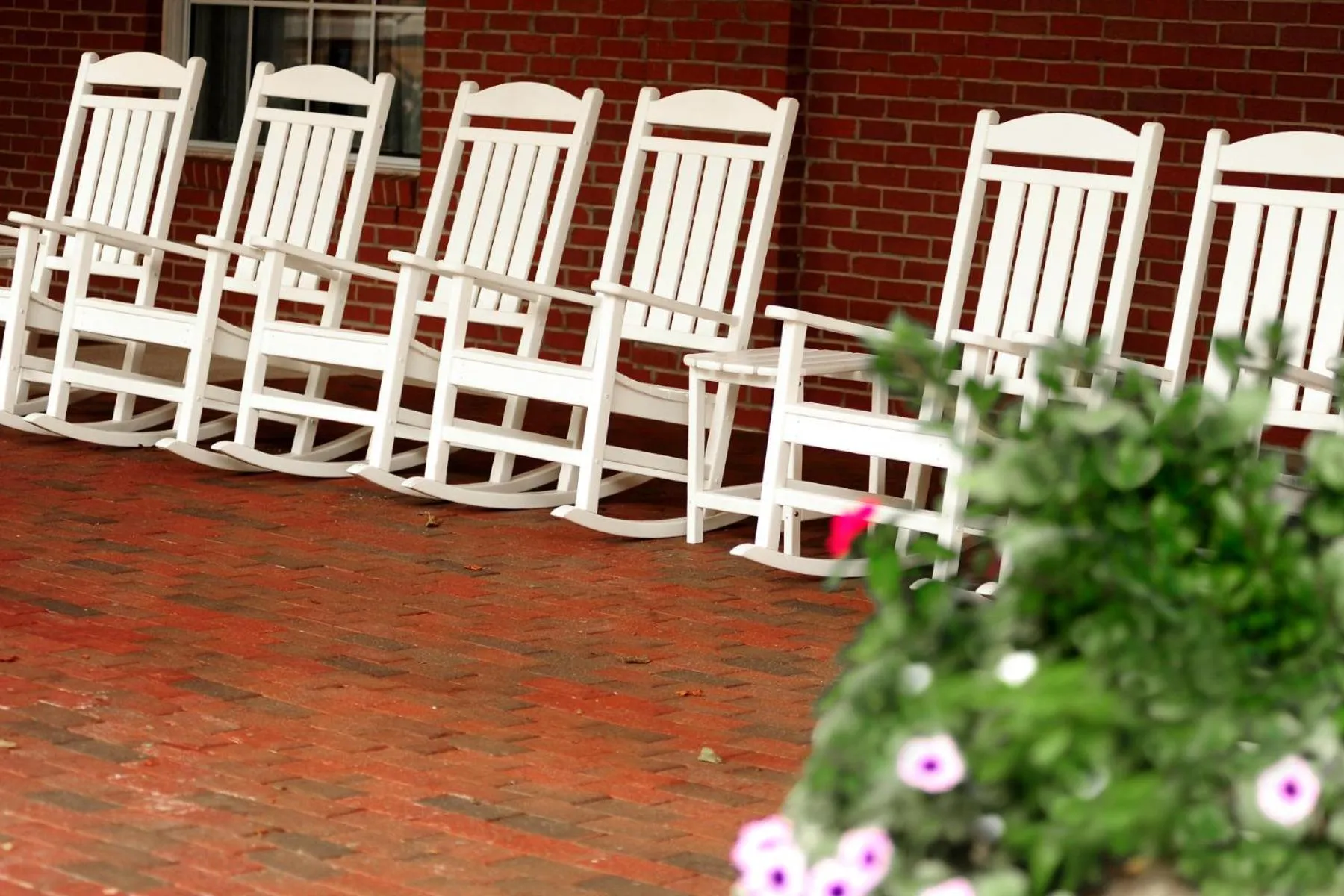 Garden in Hotel 24 South