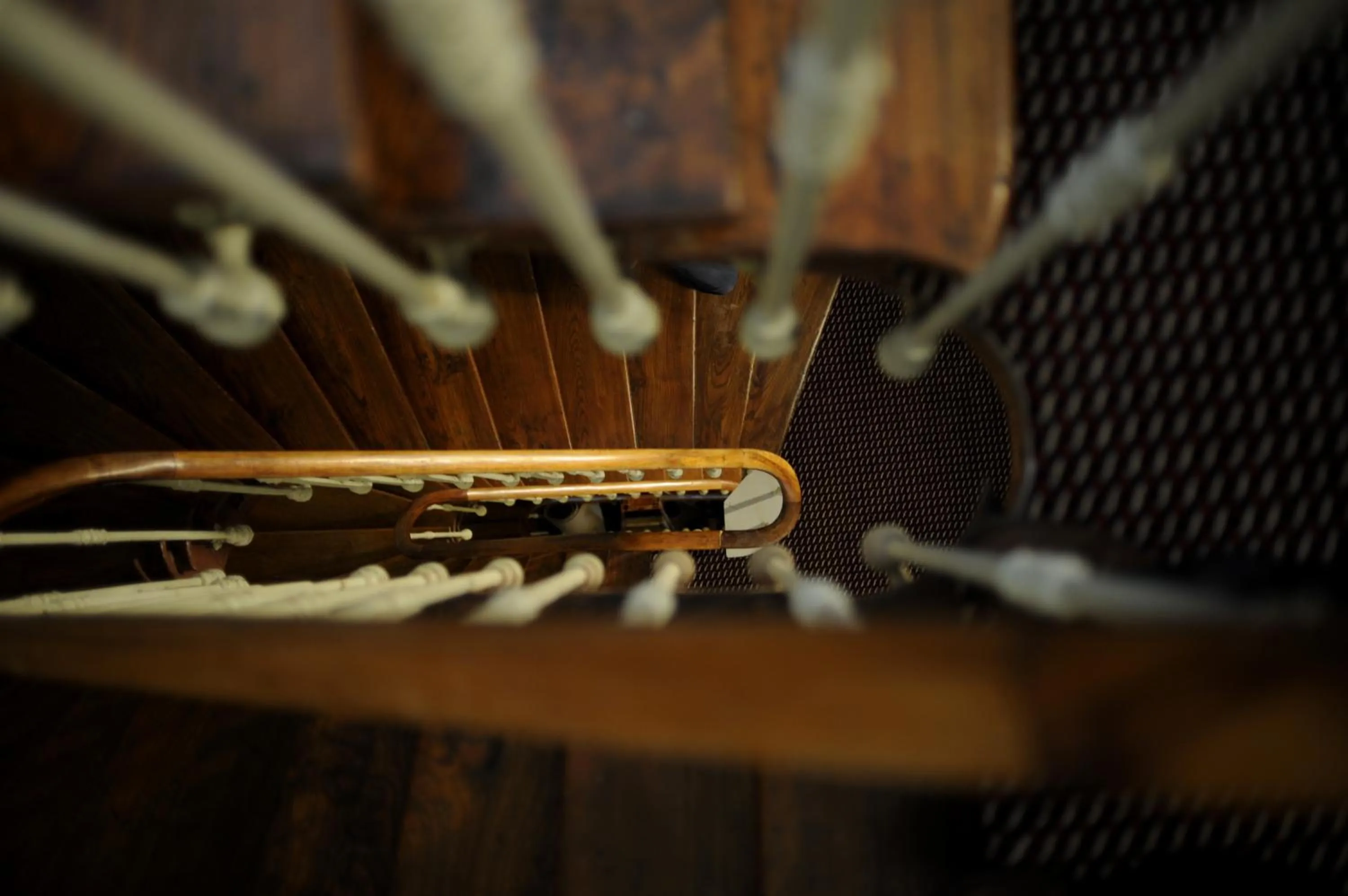 Decorative detail in Hotel Albert 1er