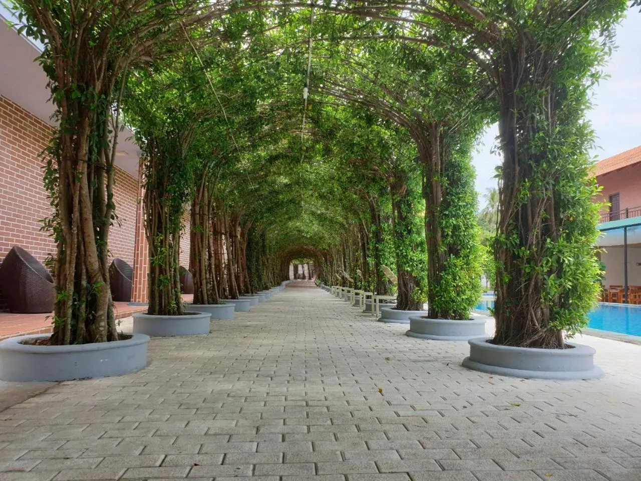 Garden in Le Garden Resort & Spa Phú Quốc