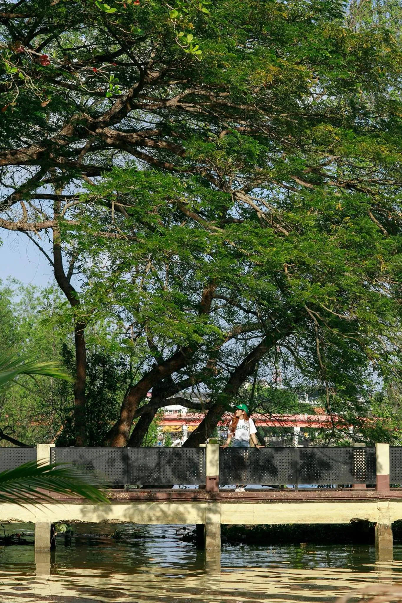 Sleepbox Hostel Suratthani