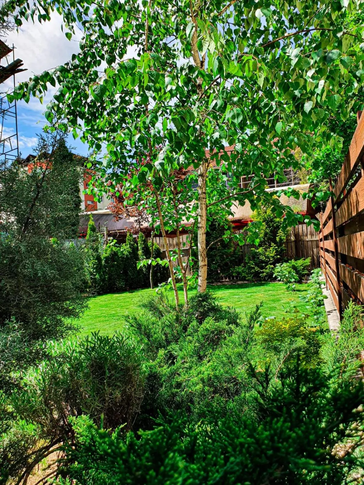 Garden in Elis Residence