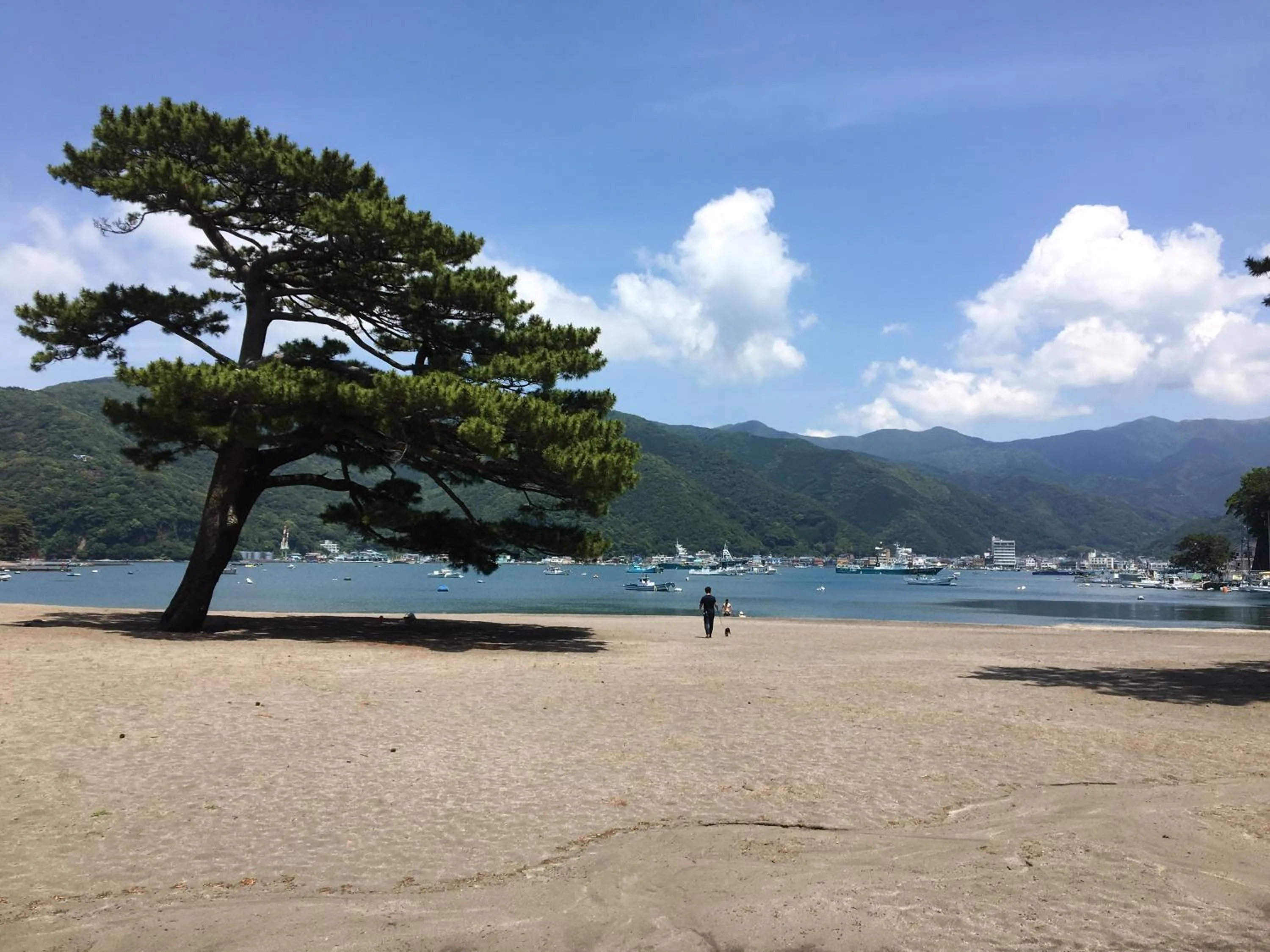 Nearby landmark in Tagore Harbor Hostel