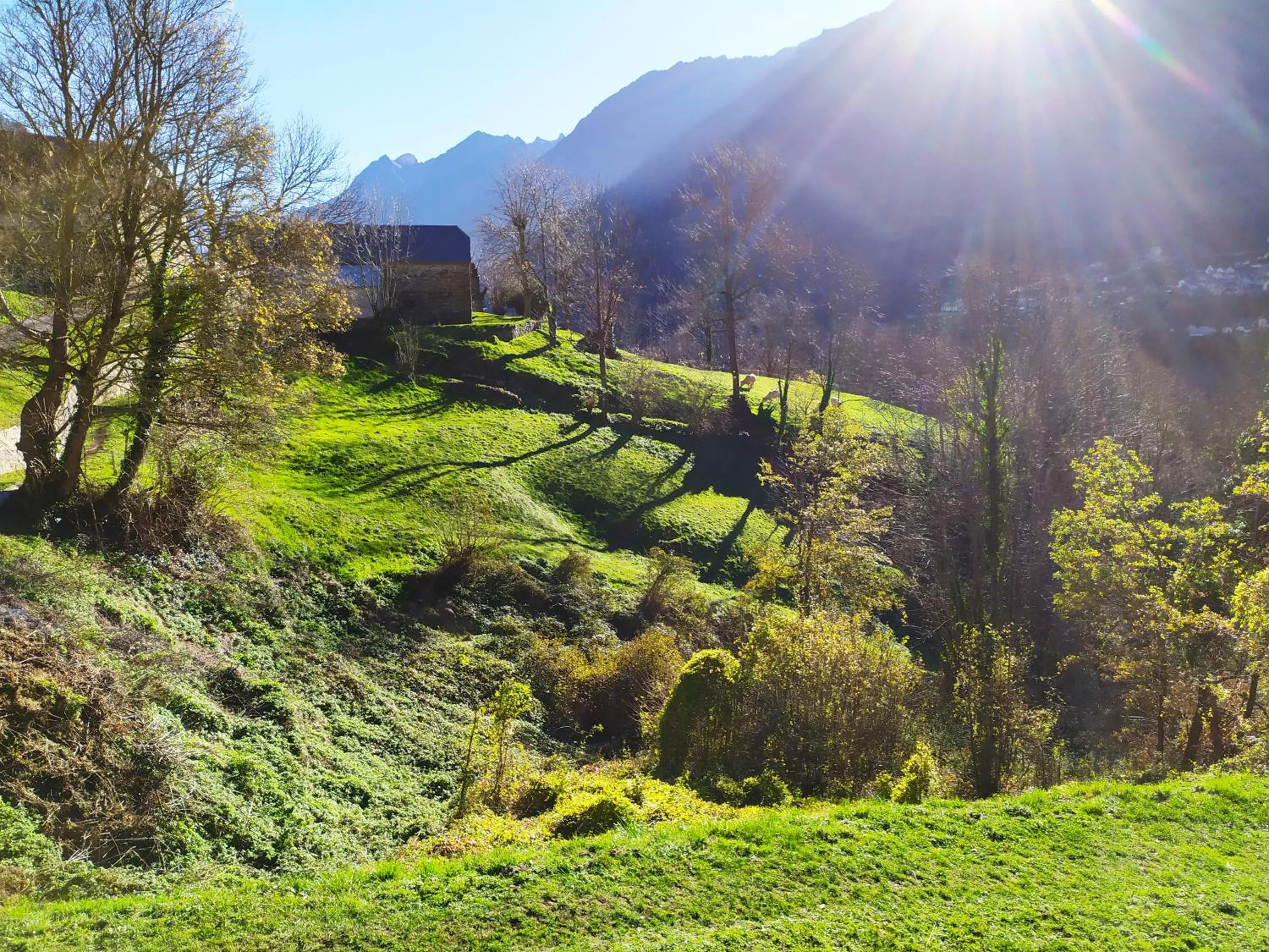 Natural landscape in Chez Lolette