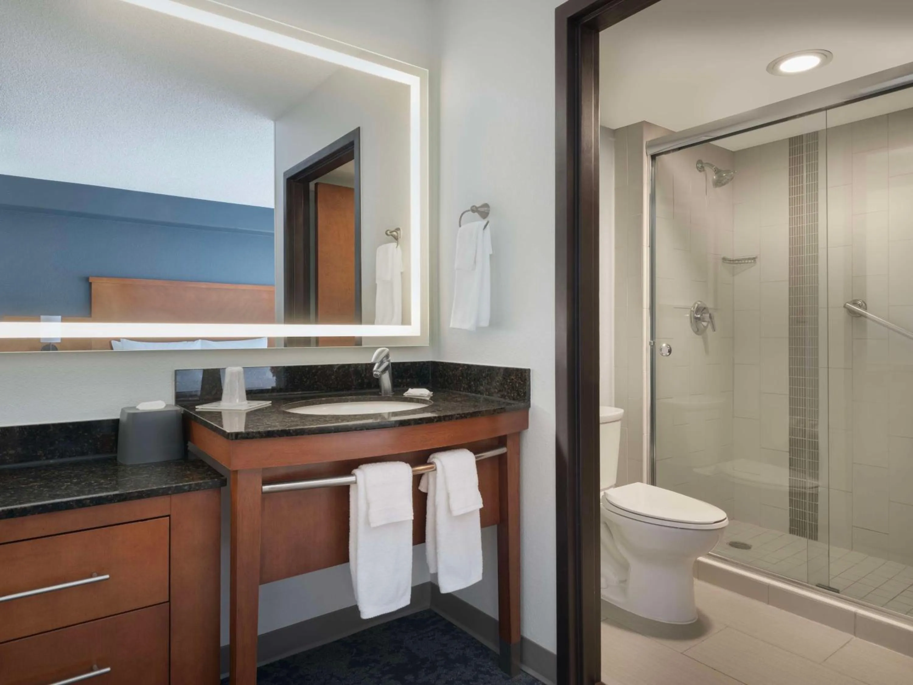 Bathroom in Hyatt Place Lakeland Center