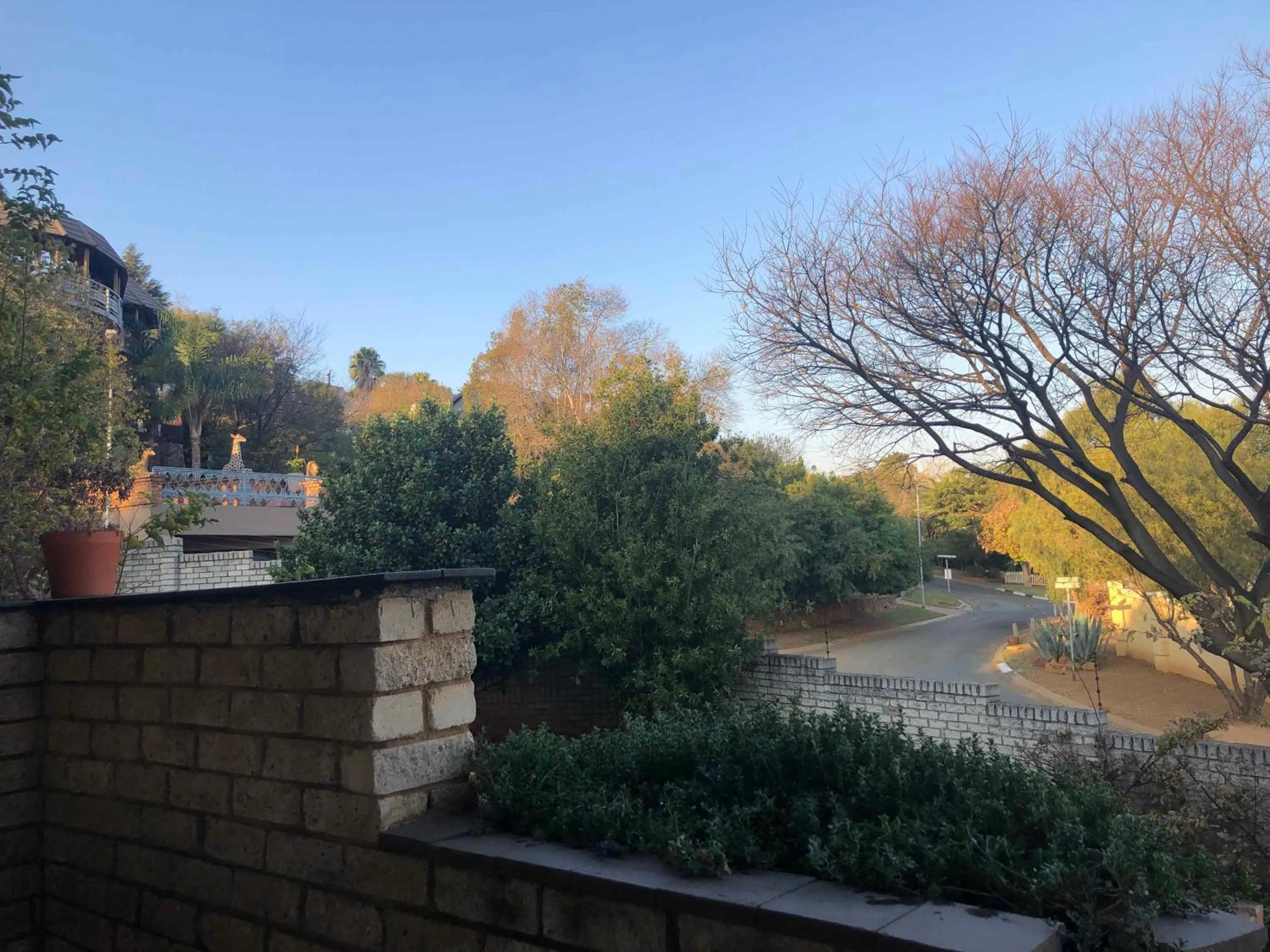 Natural landscape in Naomi's Place