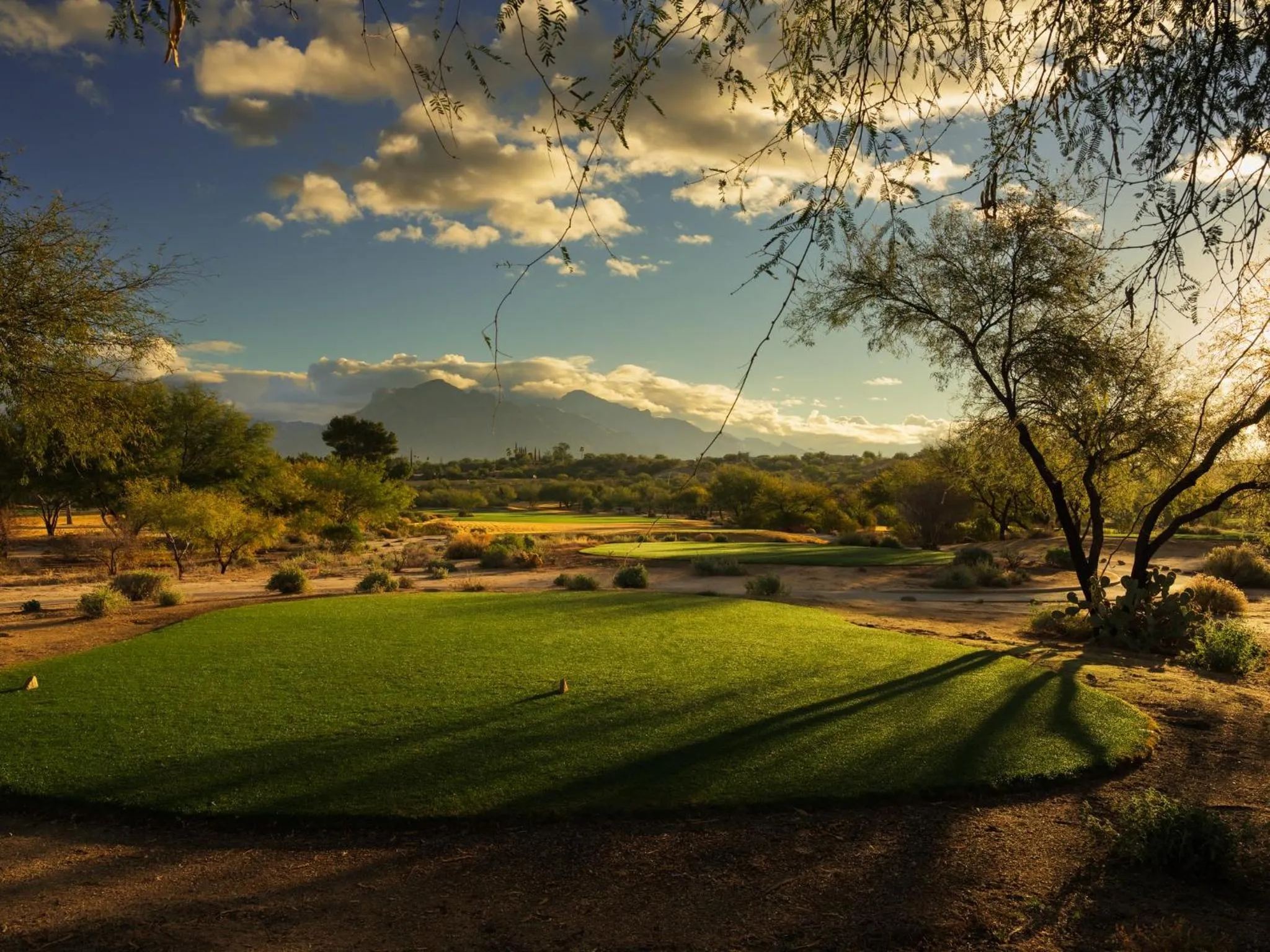 Golfcourse in Omni Tucson National Resort & Spa