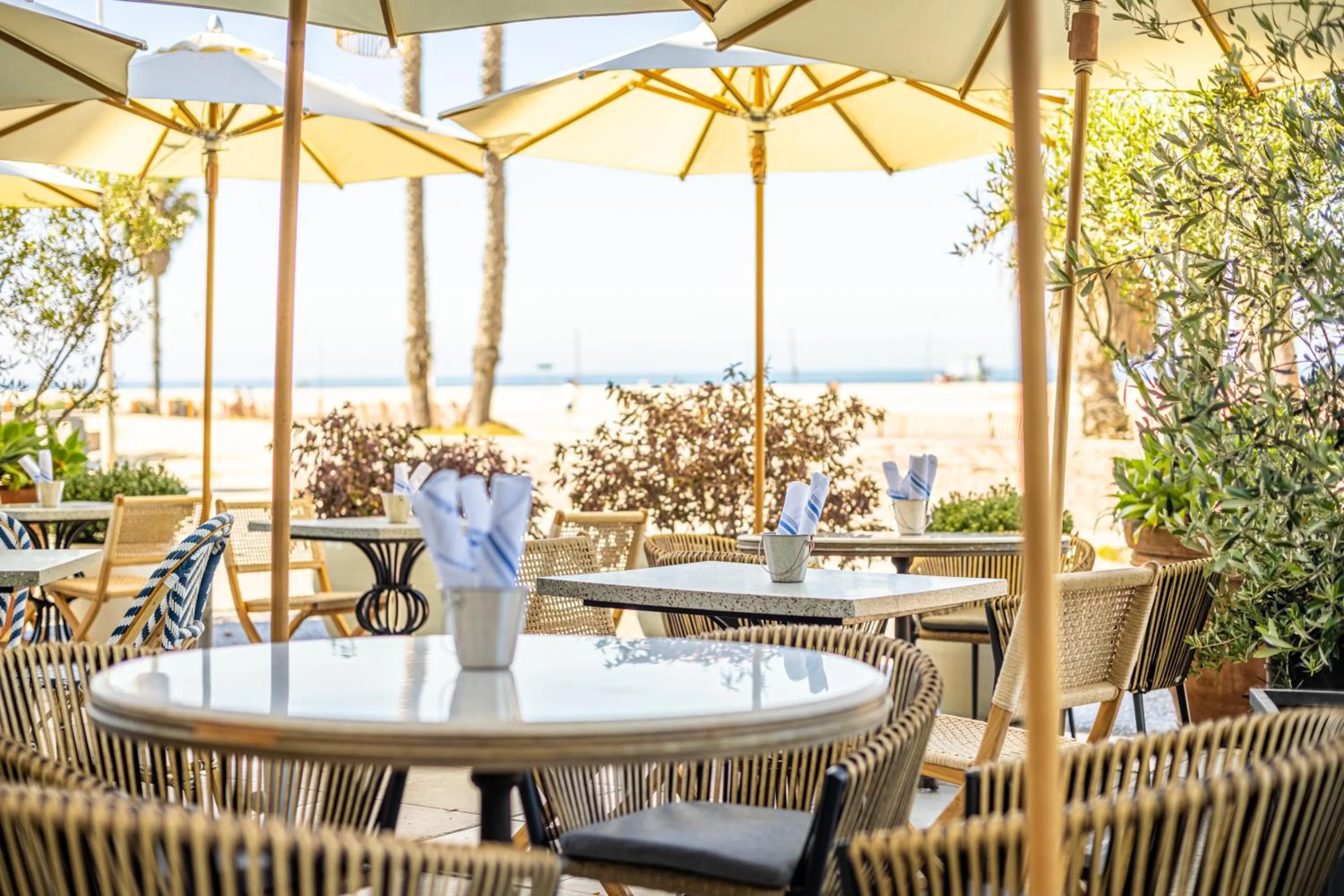 Patio in Casa Del Mar