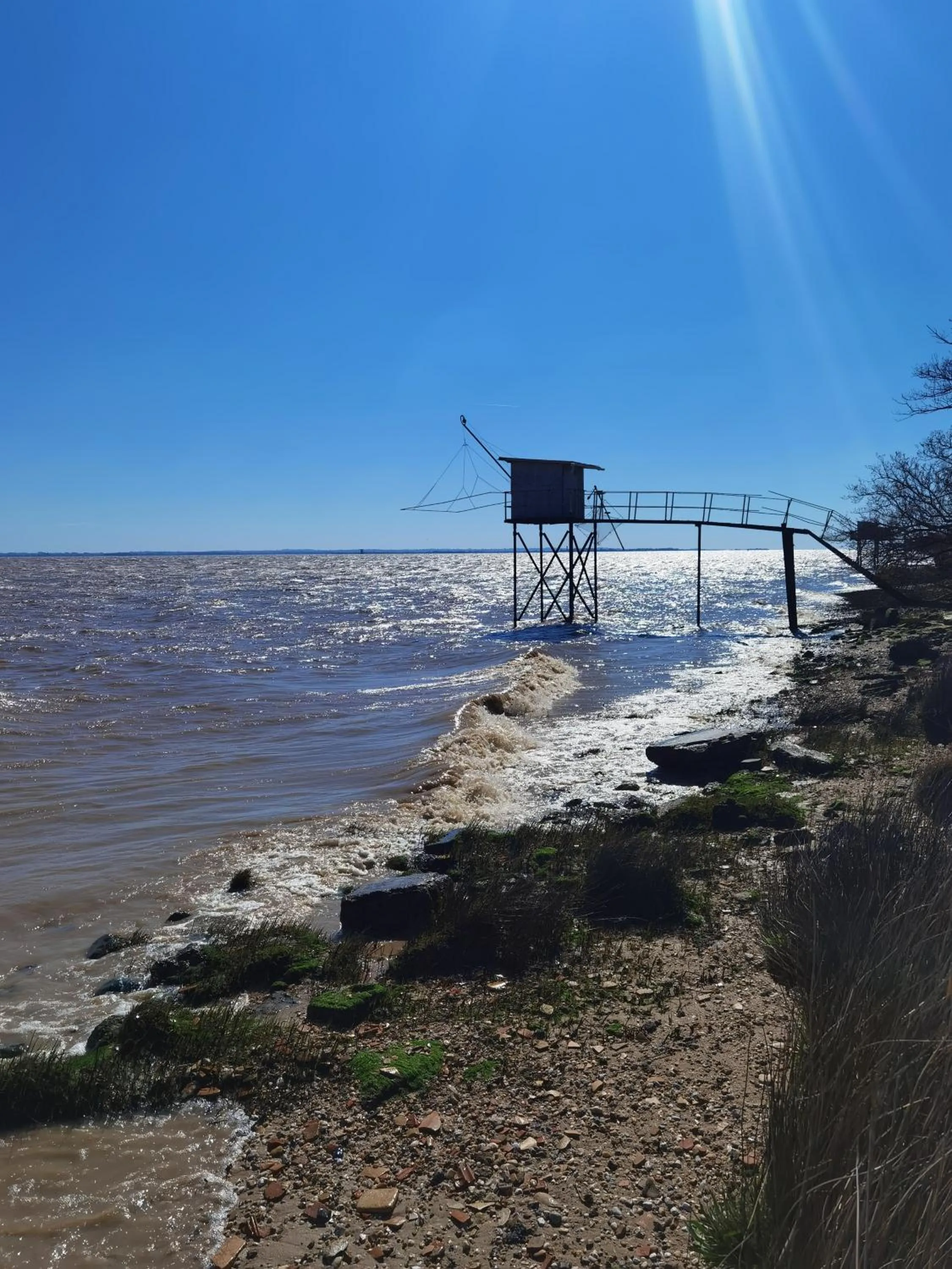 Au cœur des vignobles