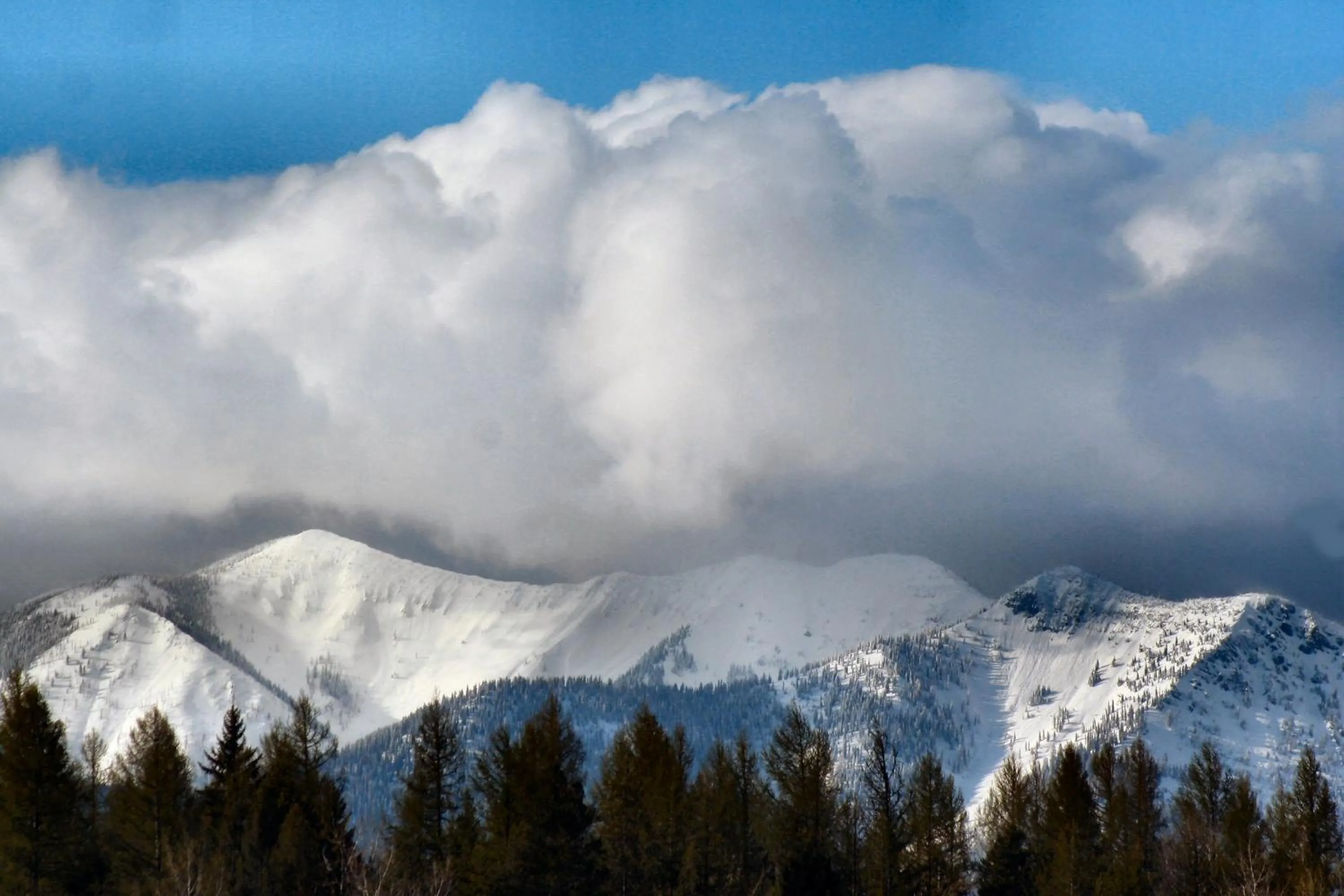 Fishing in Caboose Motel