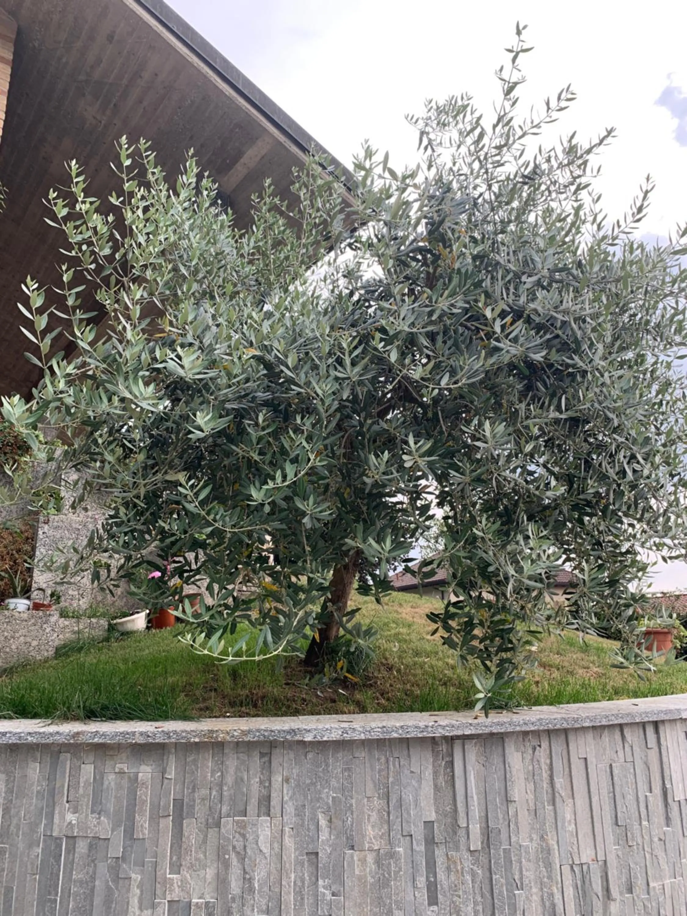 Property building in Villa Cuore